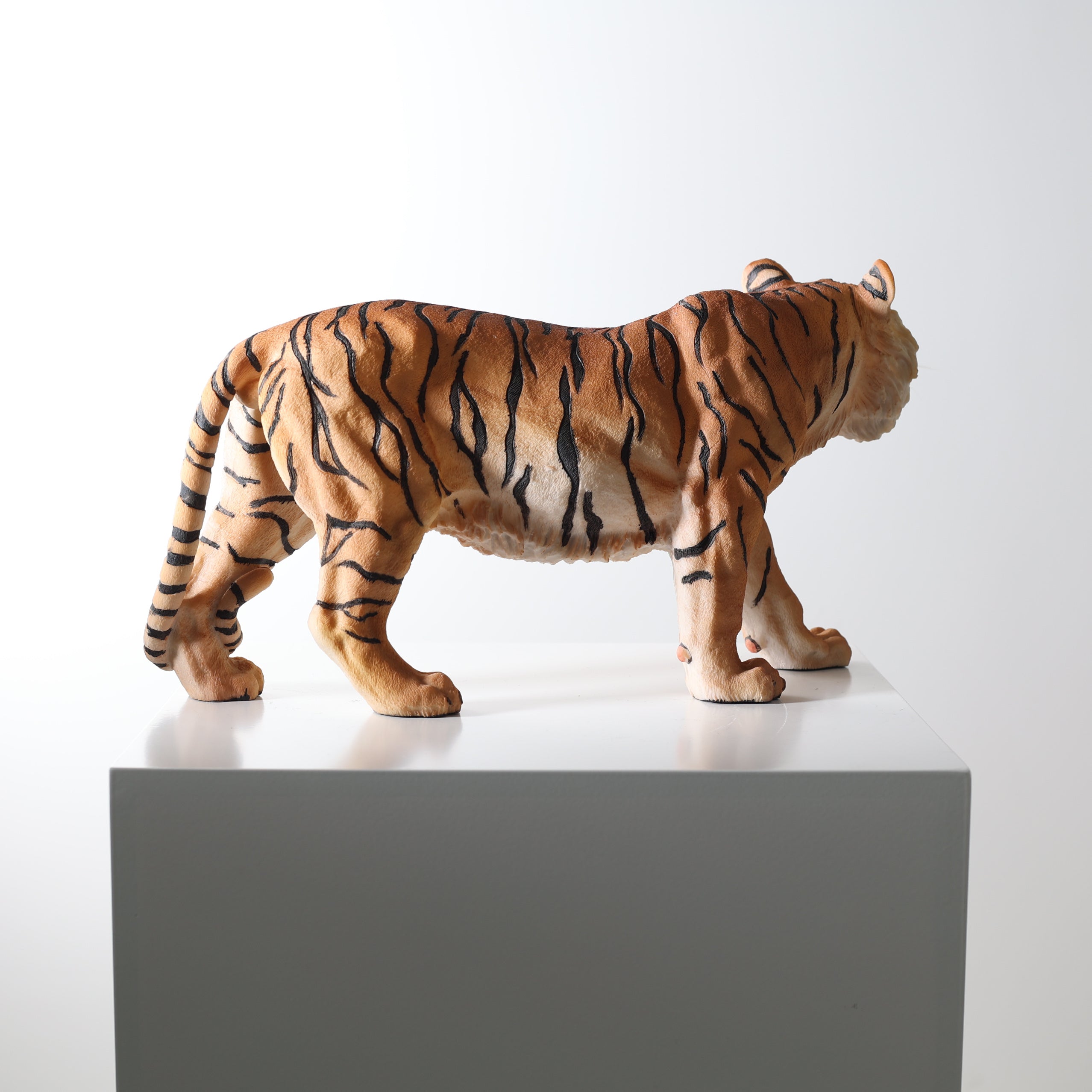 BOWUZHI Studio 1:6 Scale Siberian Tiger Model