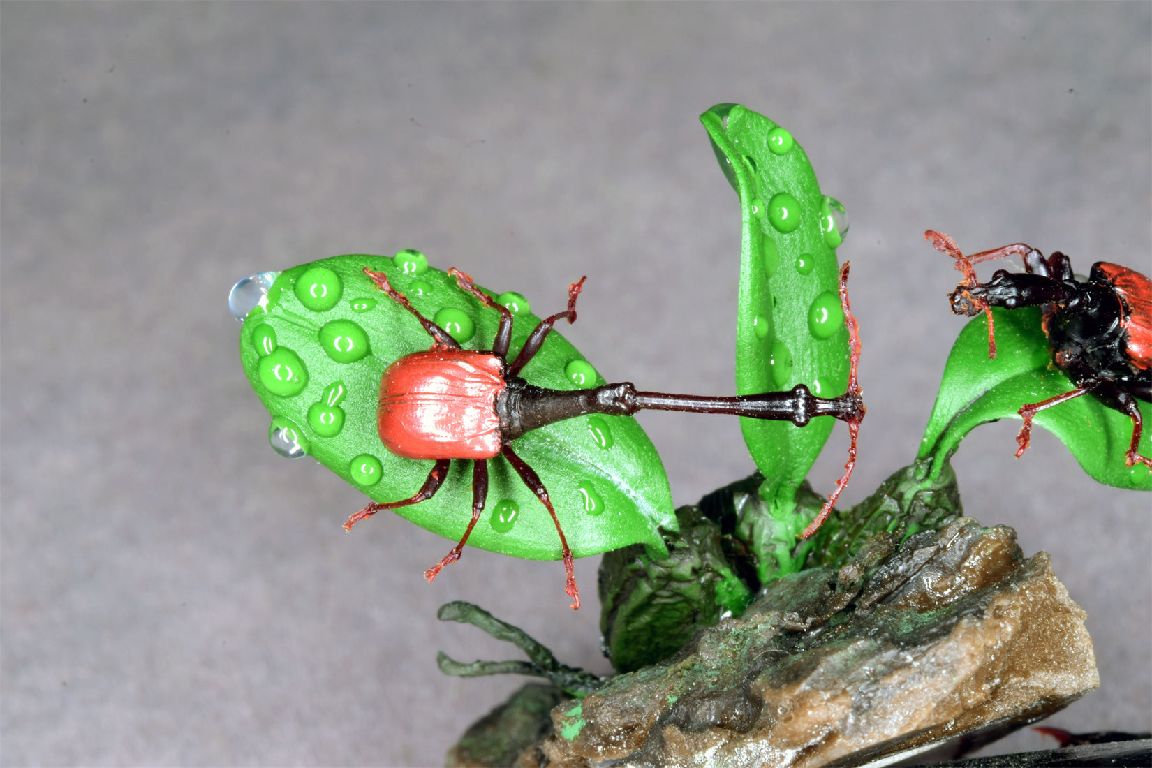 Trachelophorus Giraffa Insect Model