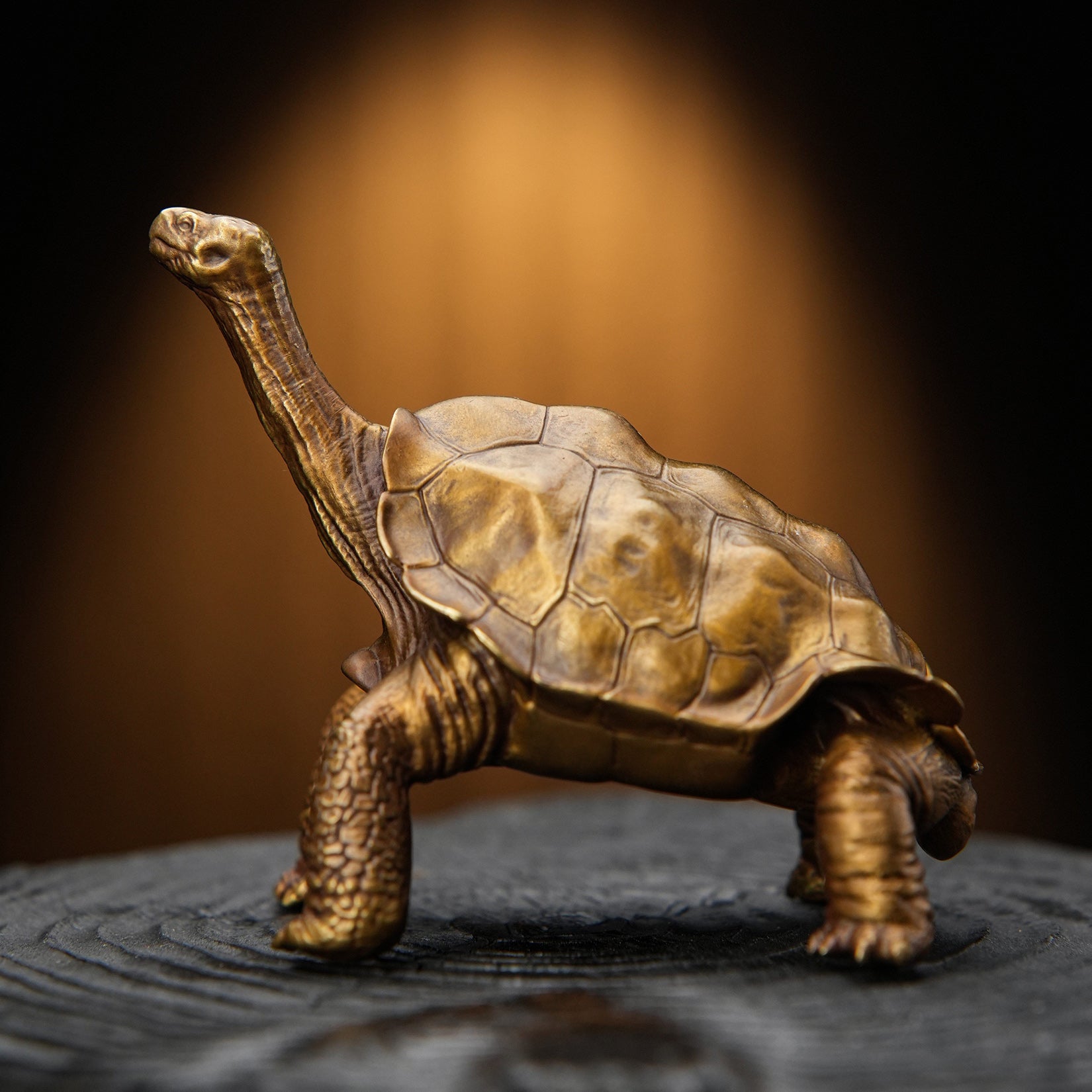 BOWUZHI Studio ‌Galapagos Giant Tortoise Figure