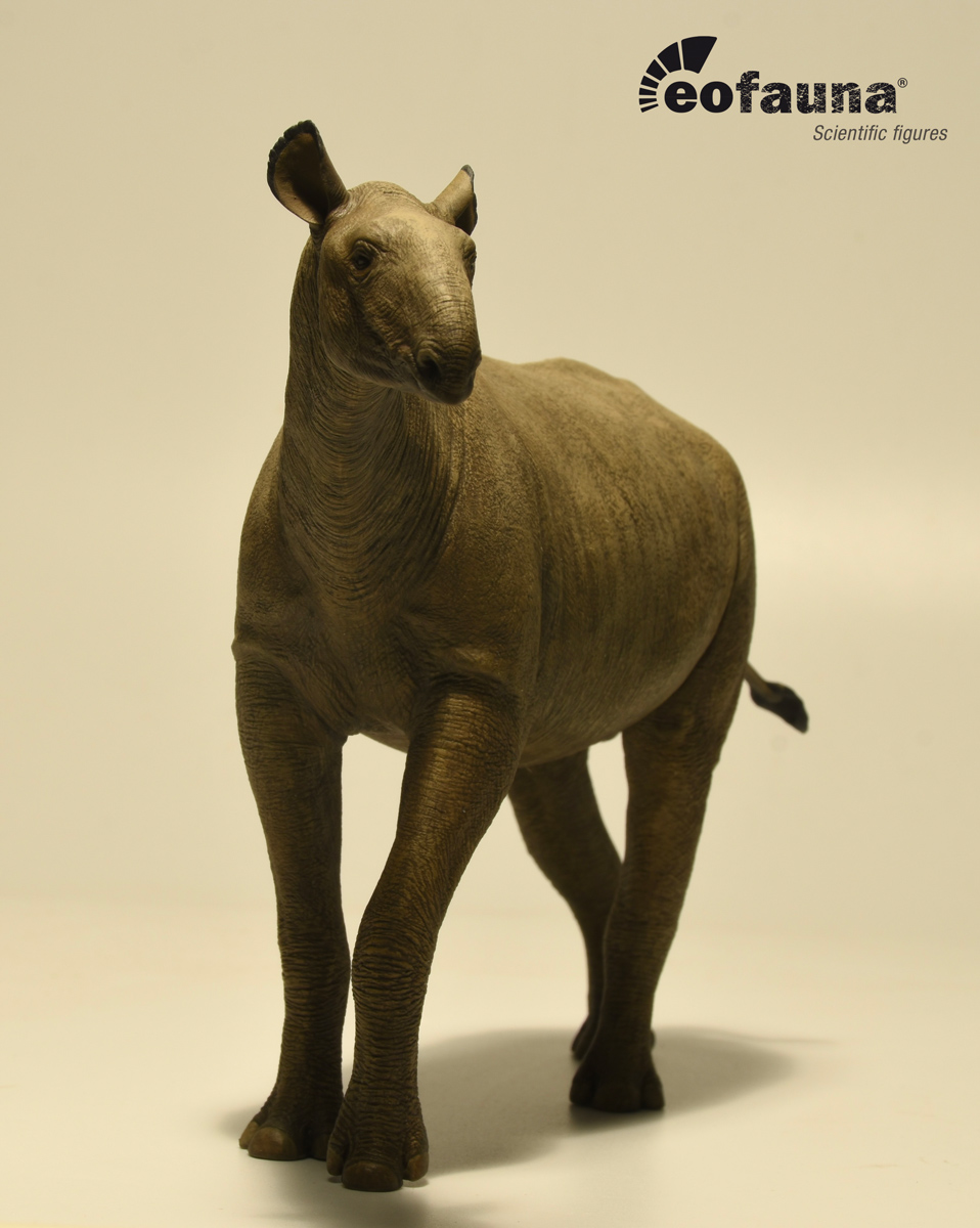 Eofauna 1:35 Scale Paraceratherium grangeri Figure
