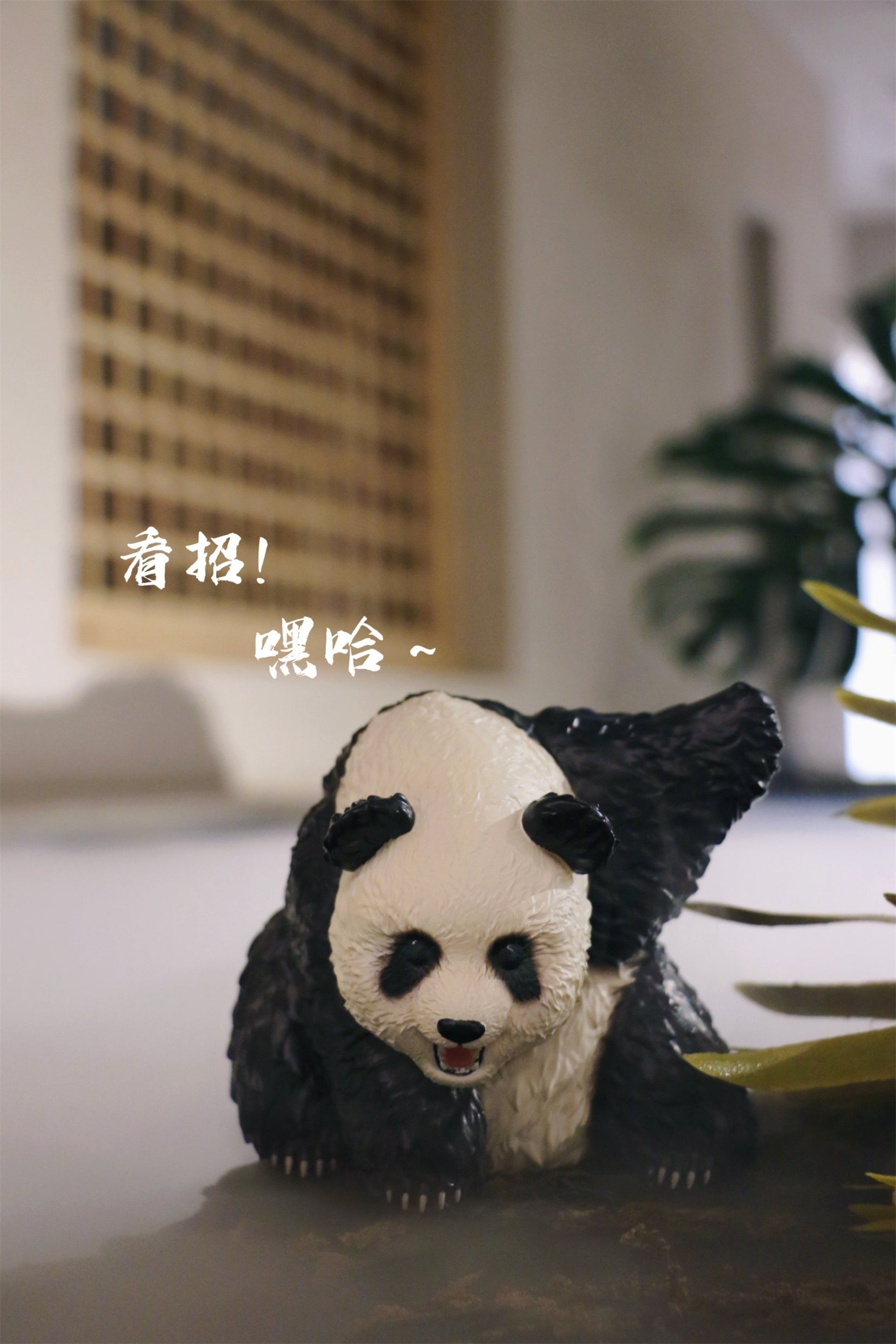 Schildkröten-Serie Tiermodell 