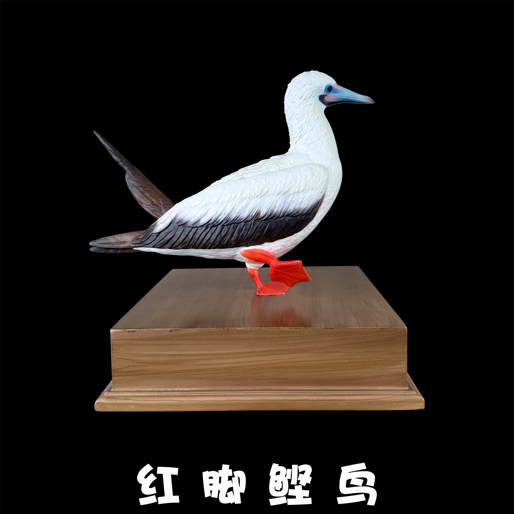 BOWUZHI Studio Red-Footed Booby Bird Figurine