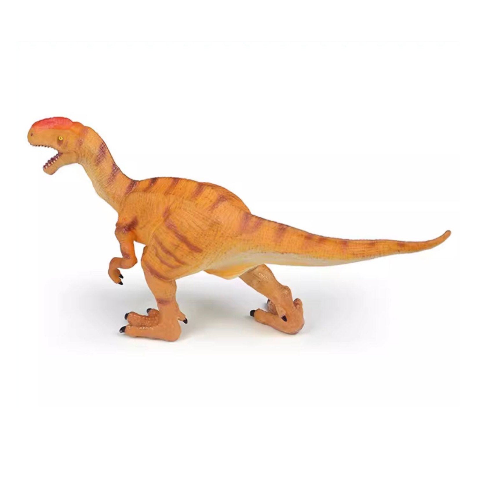 RECUR Monolophosaurus  Model