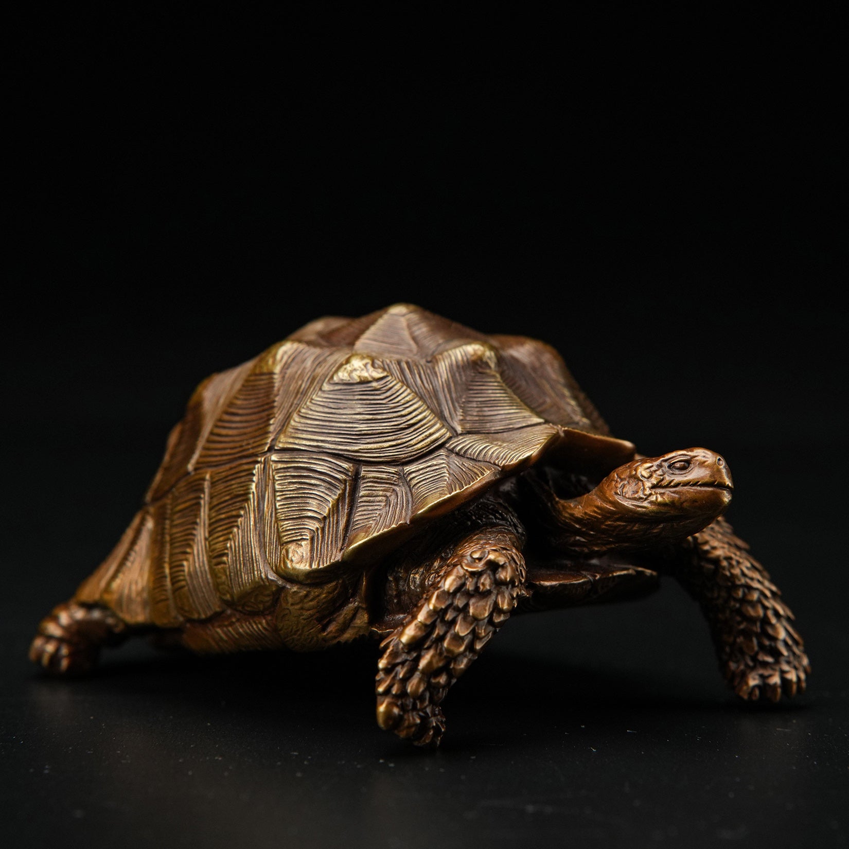 BOWUZHI Studio Sahel Tortoise Bronze Edition Model