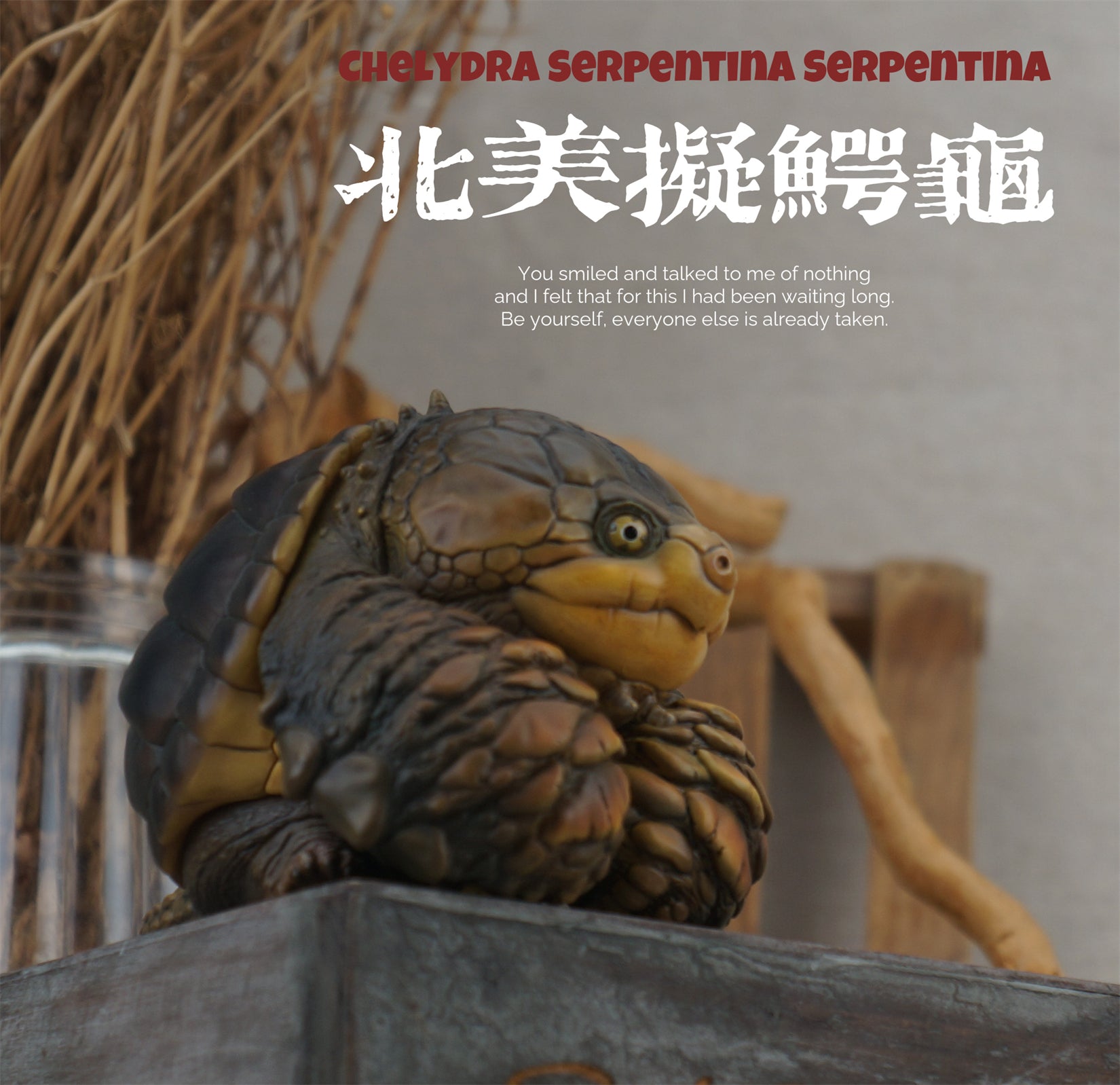 Common Snapping Turtle‌ & Ploughshare Tortoise‌ Figure