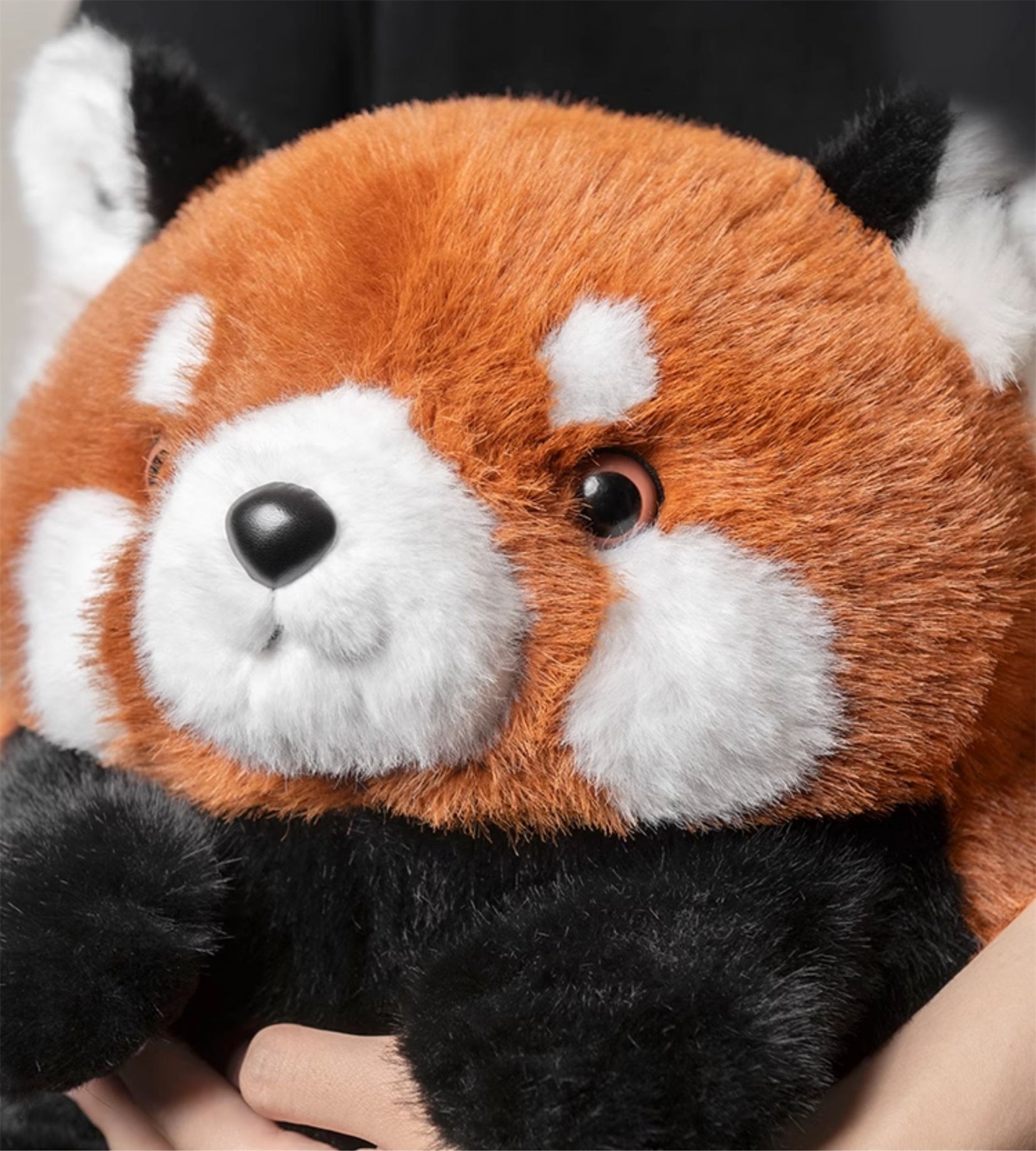Lesser Panda Model Animal Figure