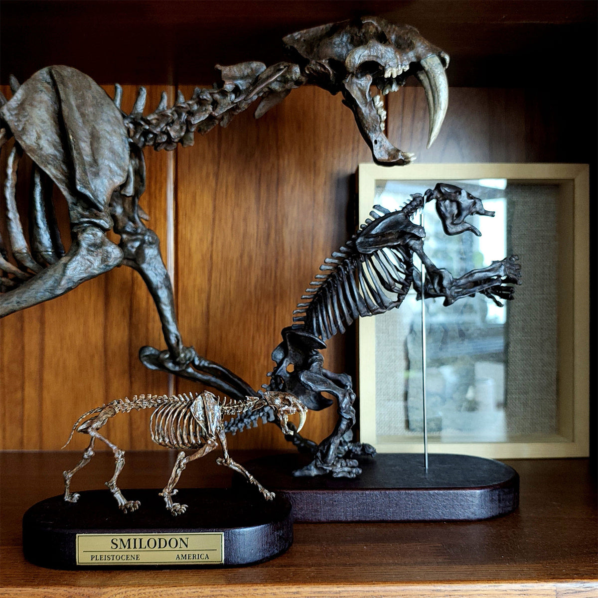 3D Printed 1:20 Scale Megatherium Skeleton Model