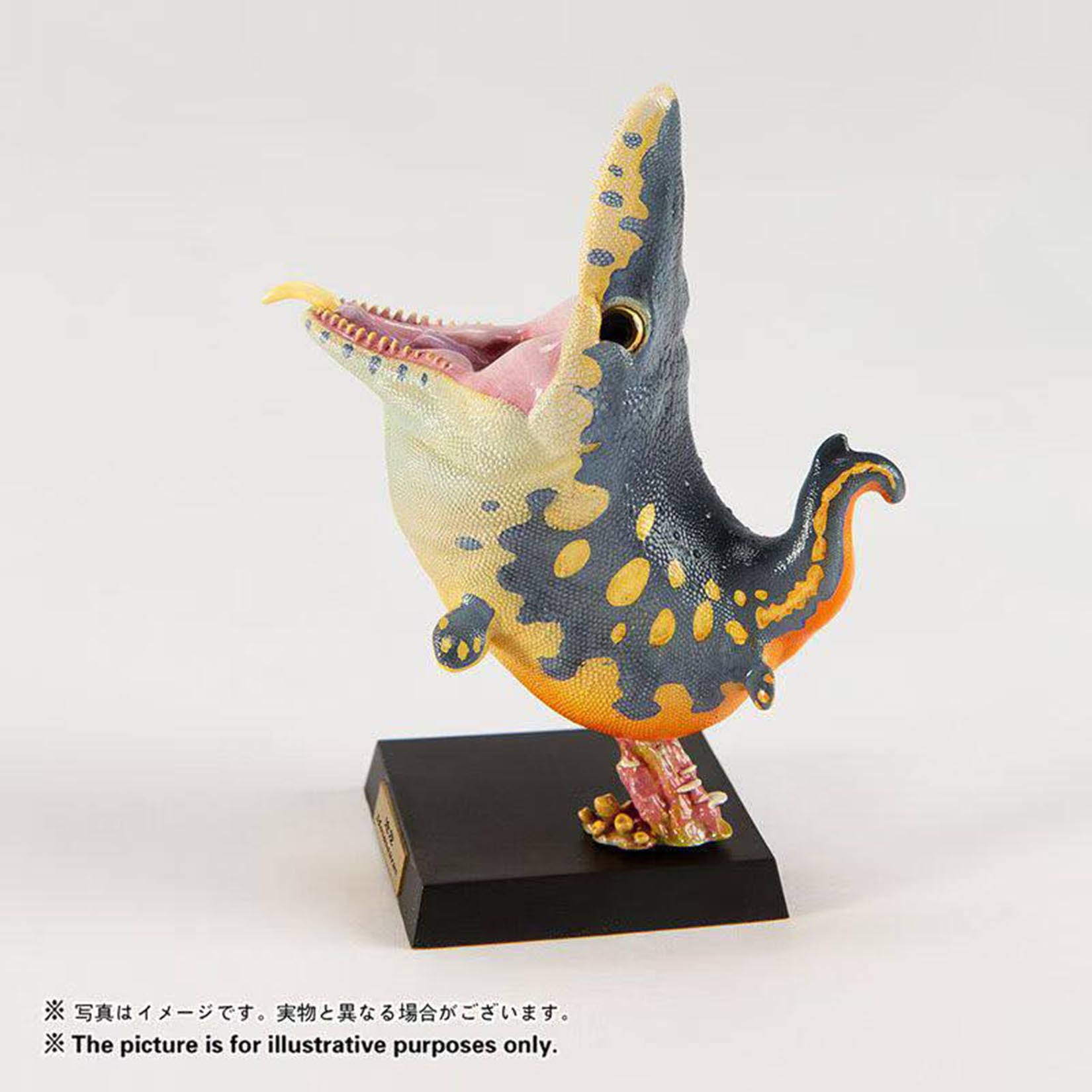 Animal Heavenly Body  Elasmosaurus Mosasaurus Liopleurodon Model