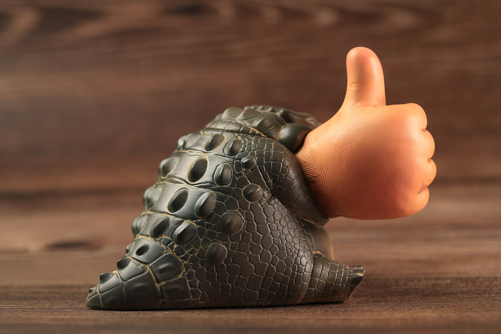 RBEN STUDIO  Snap the Alligator Model