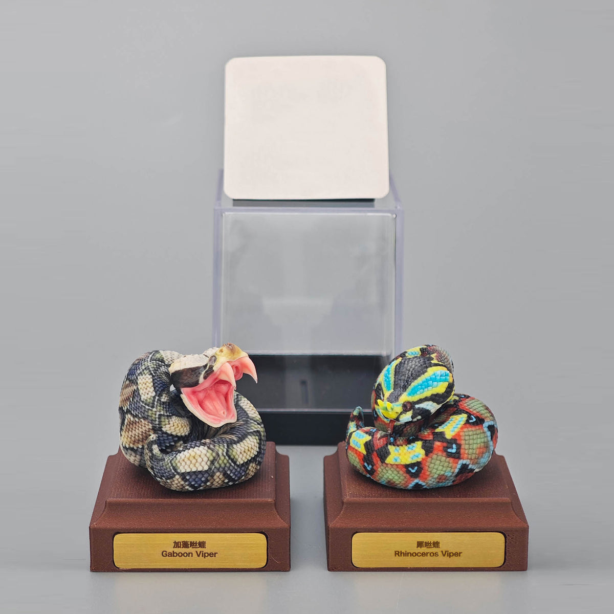 ViVid Studio Rhinoceros Viper & Gaboon Viper Model