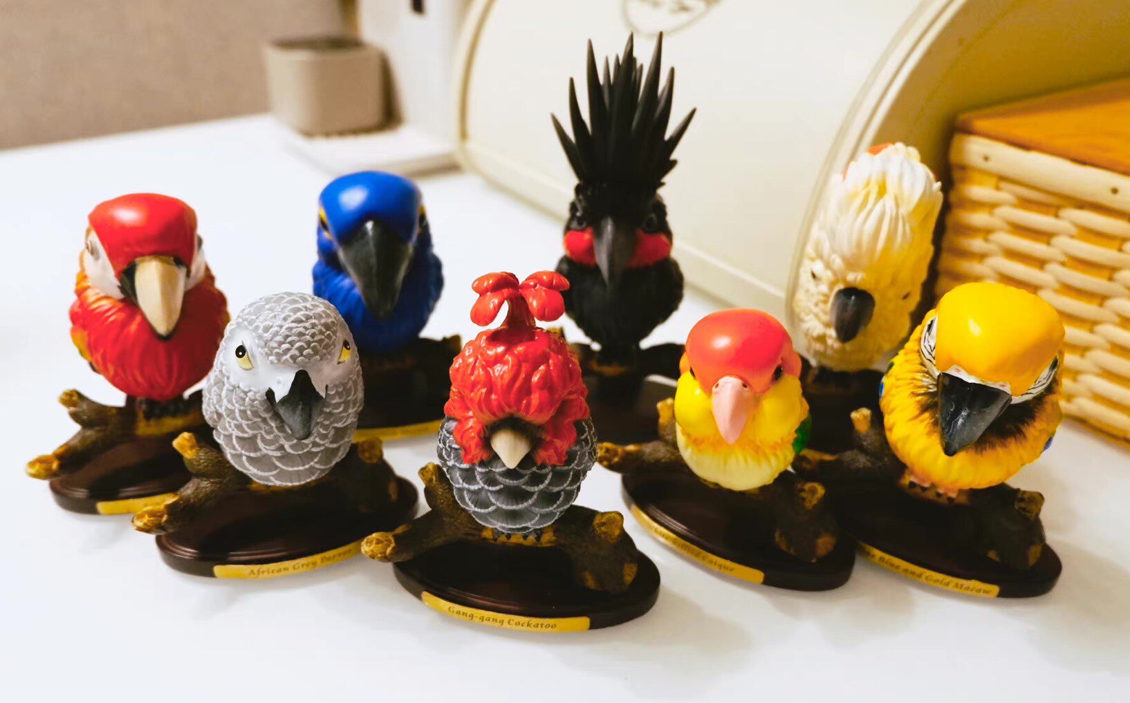 BOWUZHI Studio Parrot 1.0 Blind Box Model