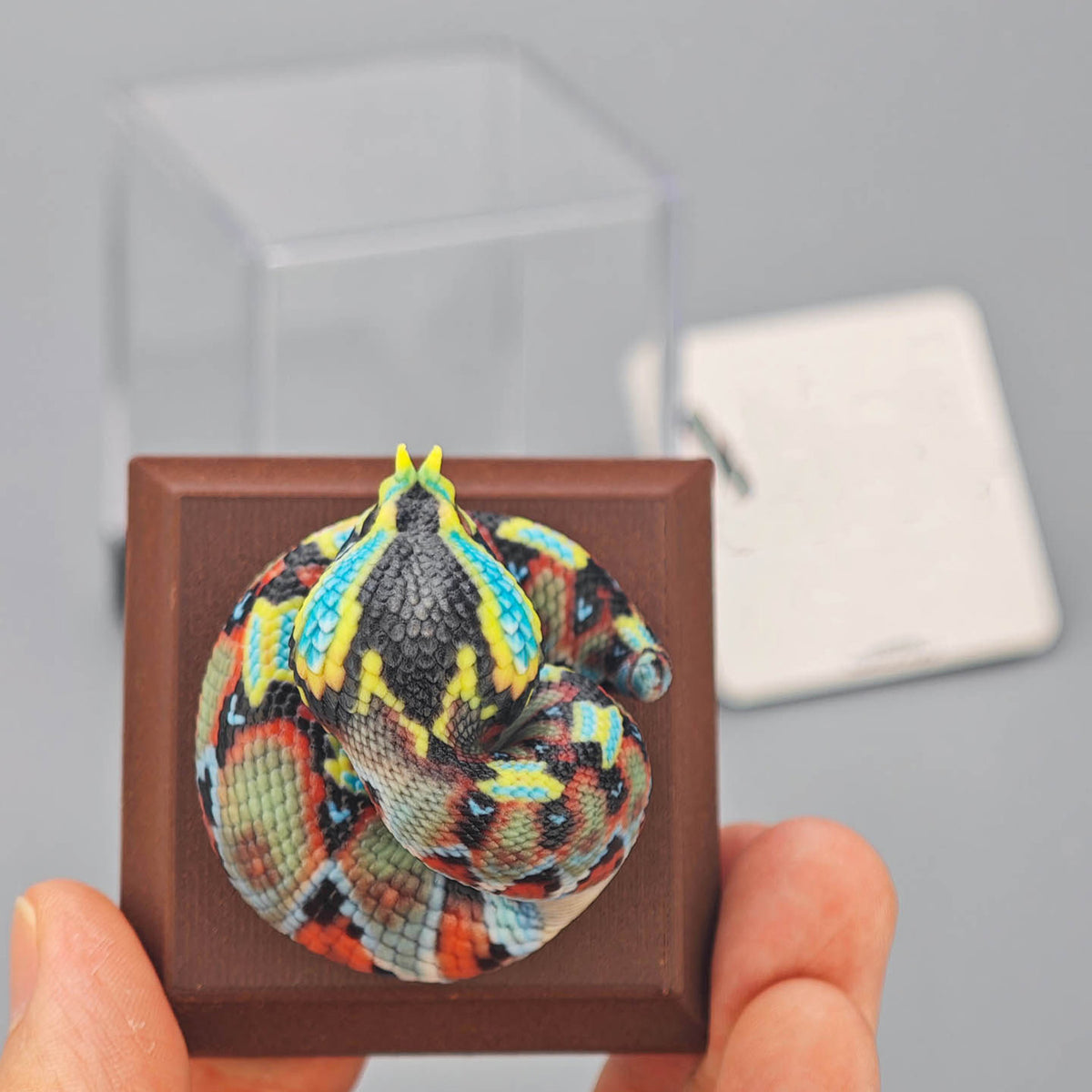 ViVid Studio Rhinoceros Viper & Gaboon Viper Model