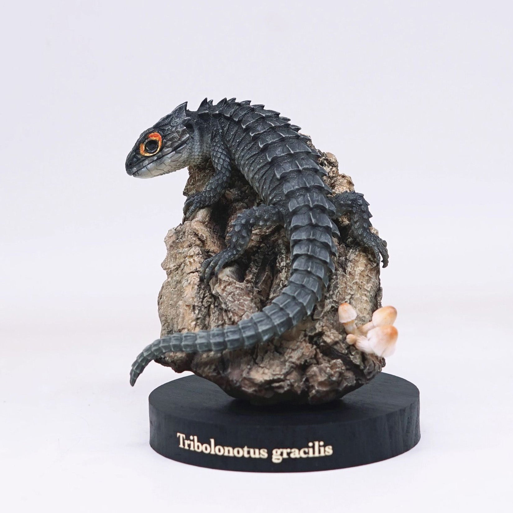 Schildkröten-Serie Tiermodell 