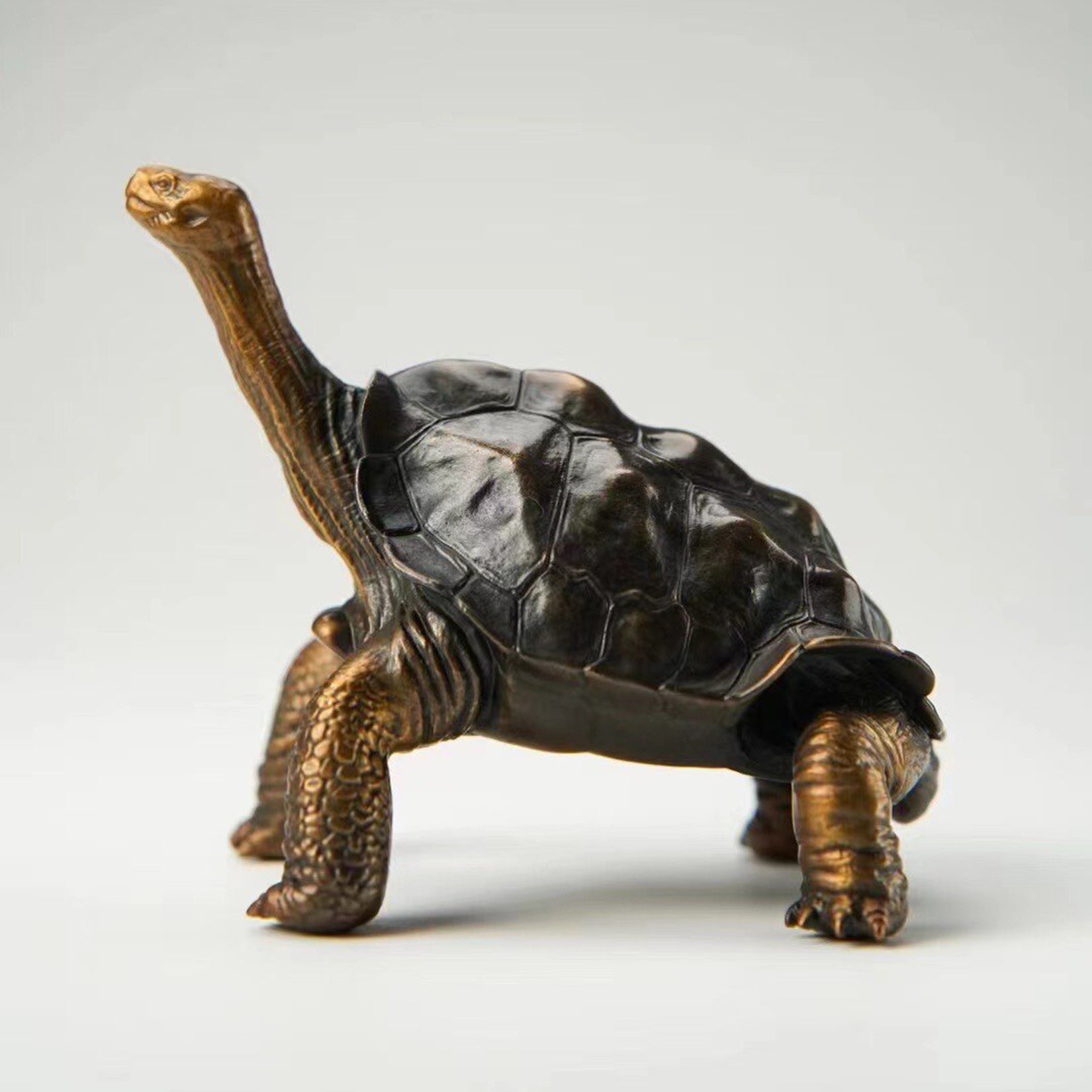 BOWUZHI Studio ‌Galapagos Giant Tortoise Figure