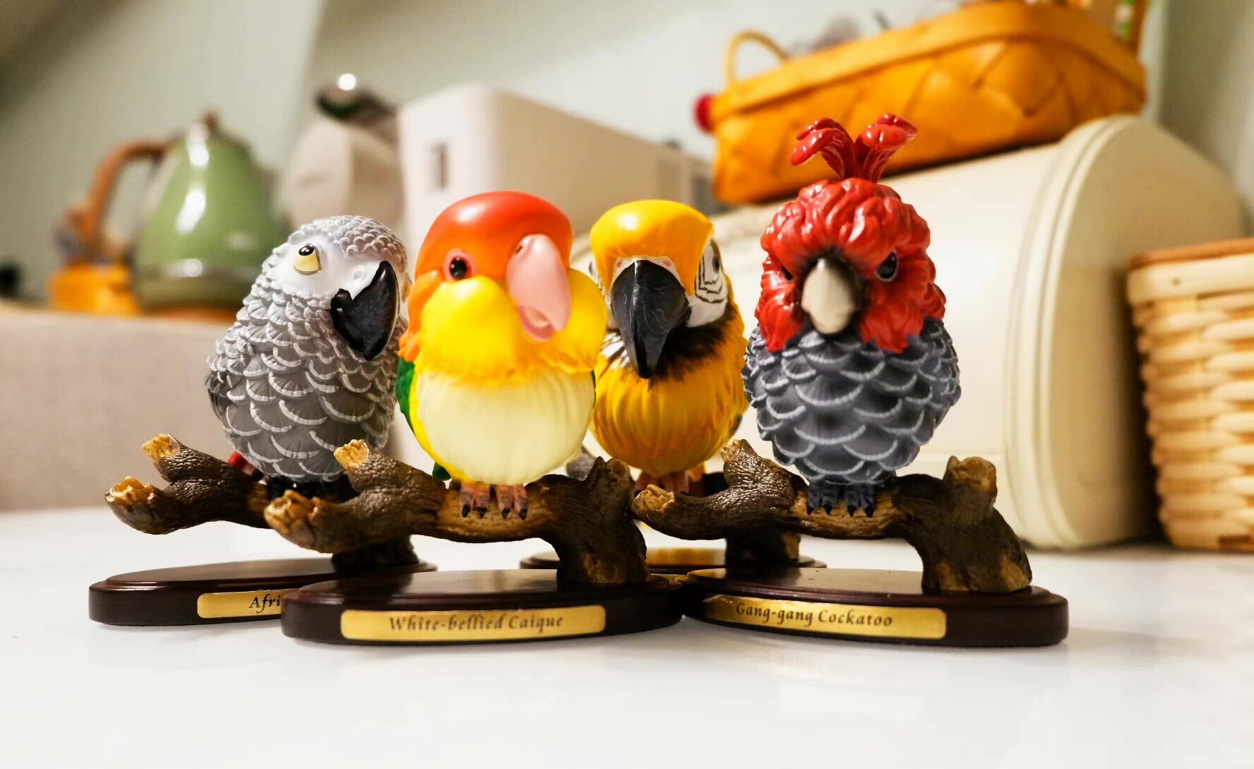 BOWUZHI Studio Parrot 1.0 Blind Box Model