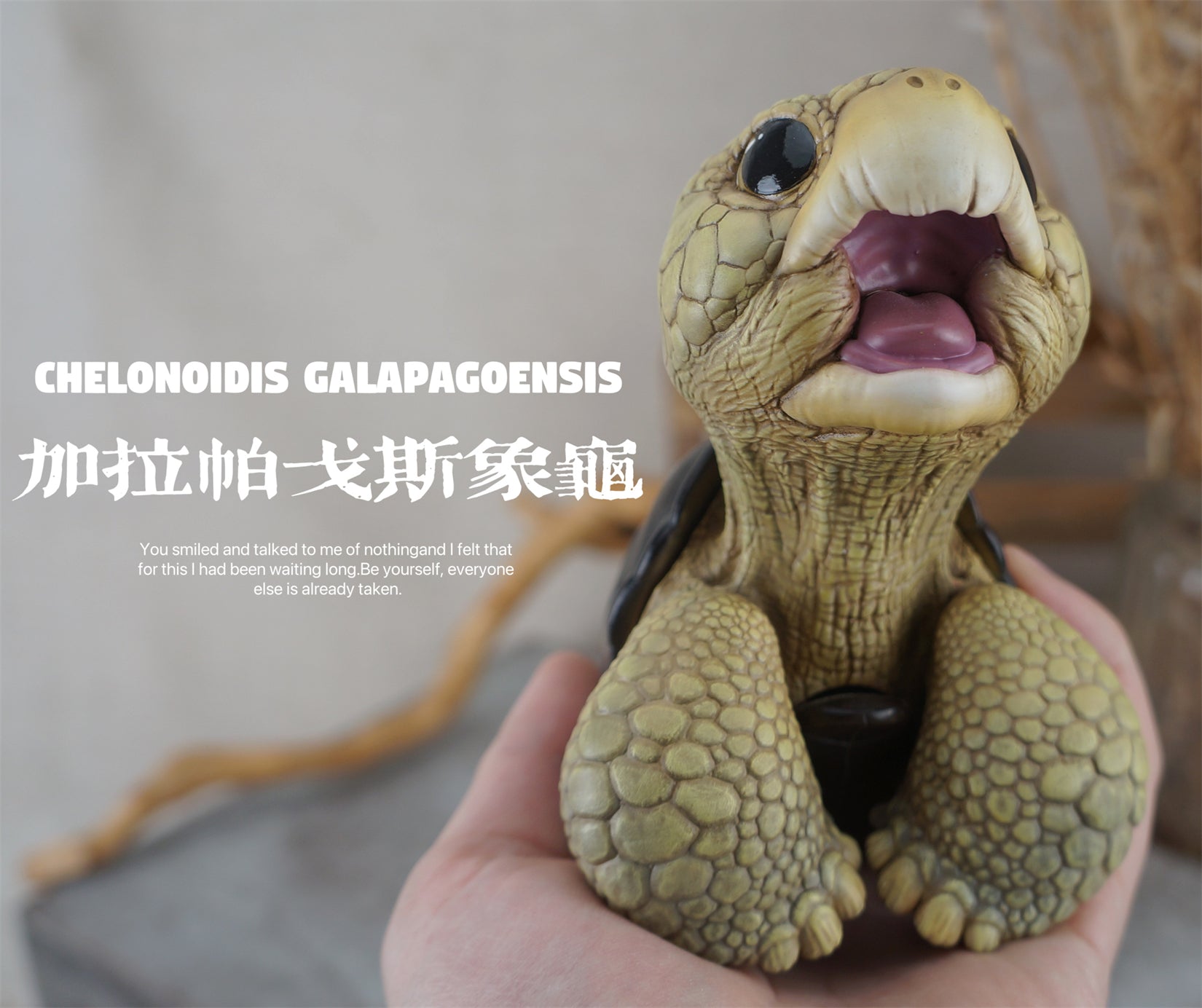 BOWUZHI Studio Geochelone Carbonaria & Chelonoidis Galapagoensis Model