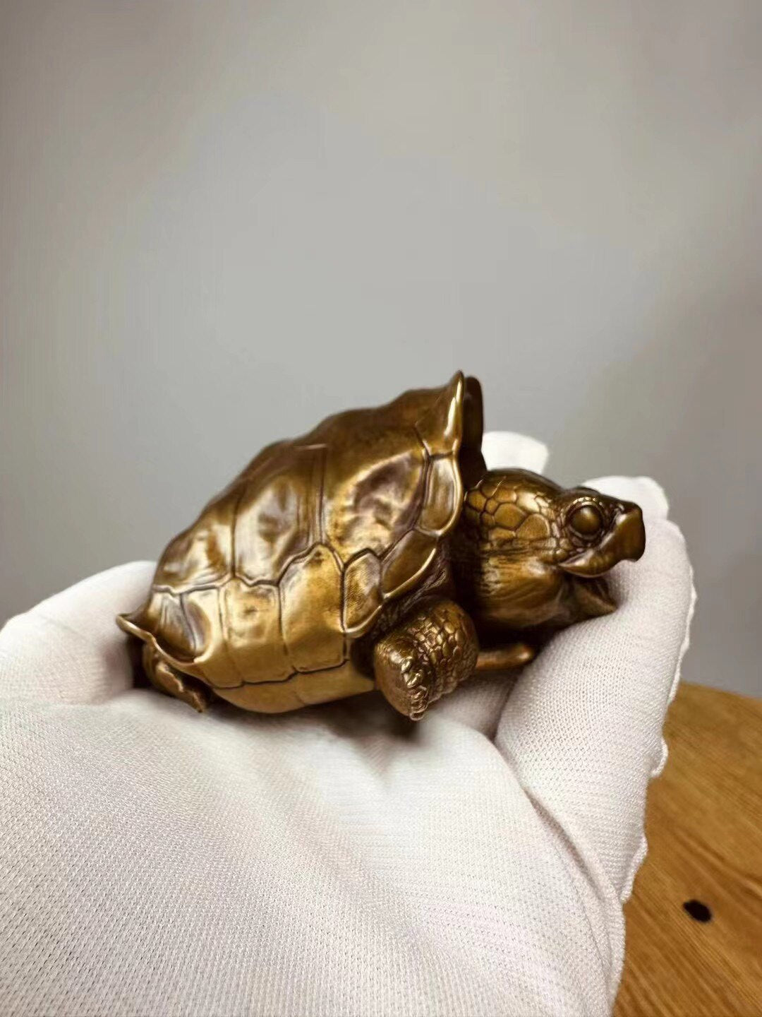 BOWUZHI Studio Galápagos Giant Tortoise Bronze Model