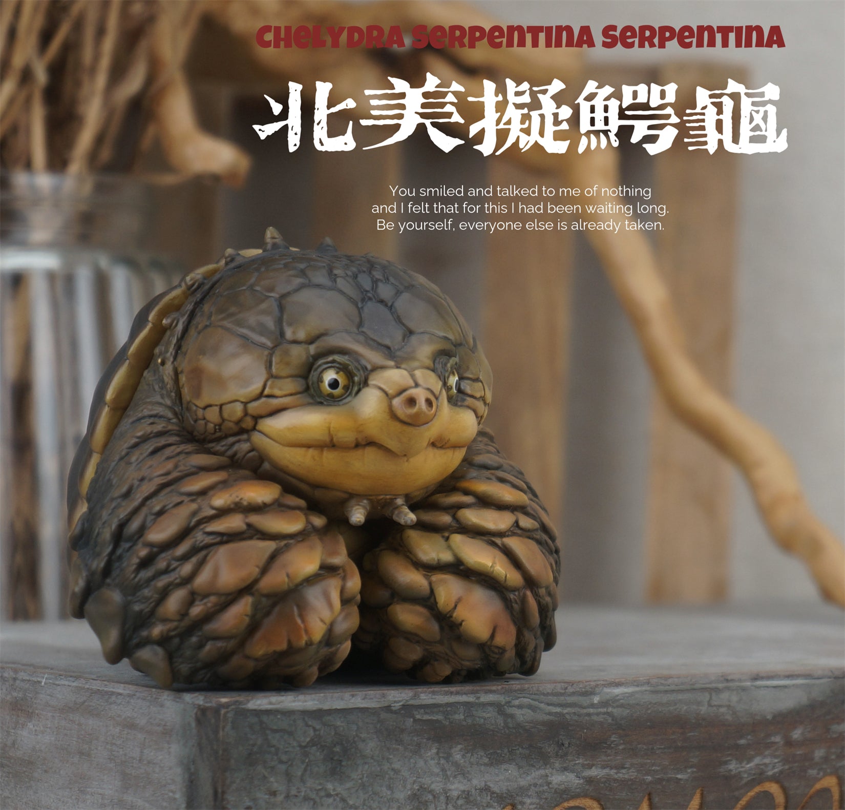 Common Snapping Turtle‌ & Ploughshare Tortoise‌ Figure