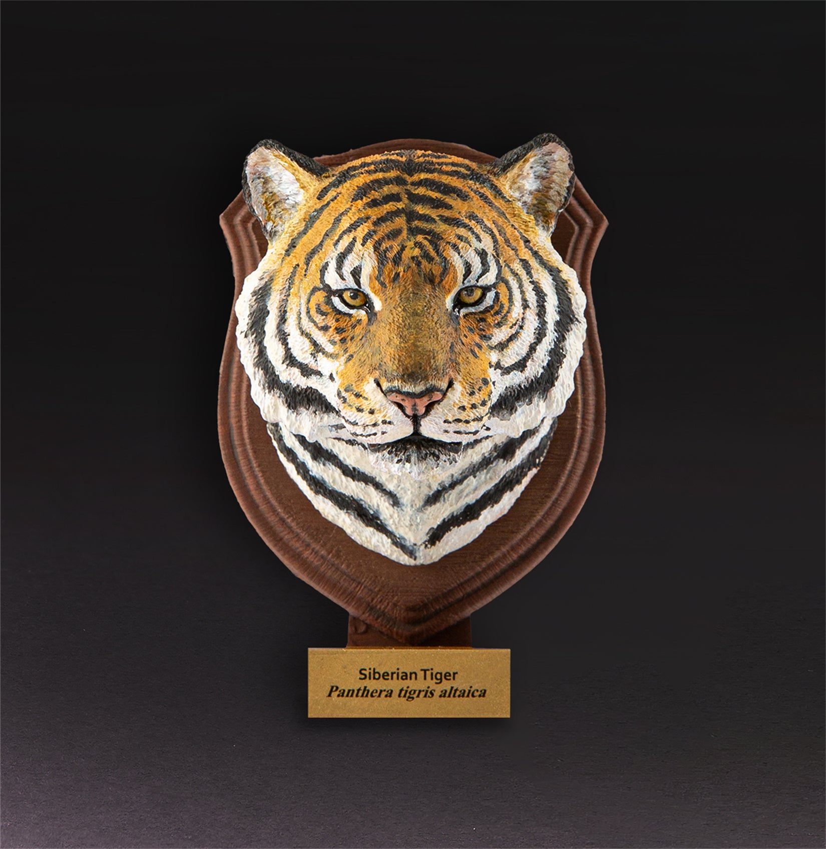 Animal Planet  World Encyclopedia Of Animals