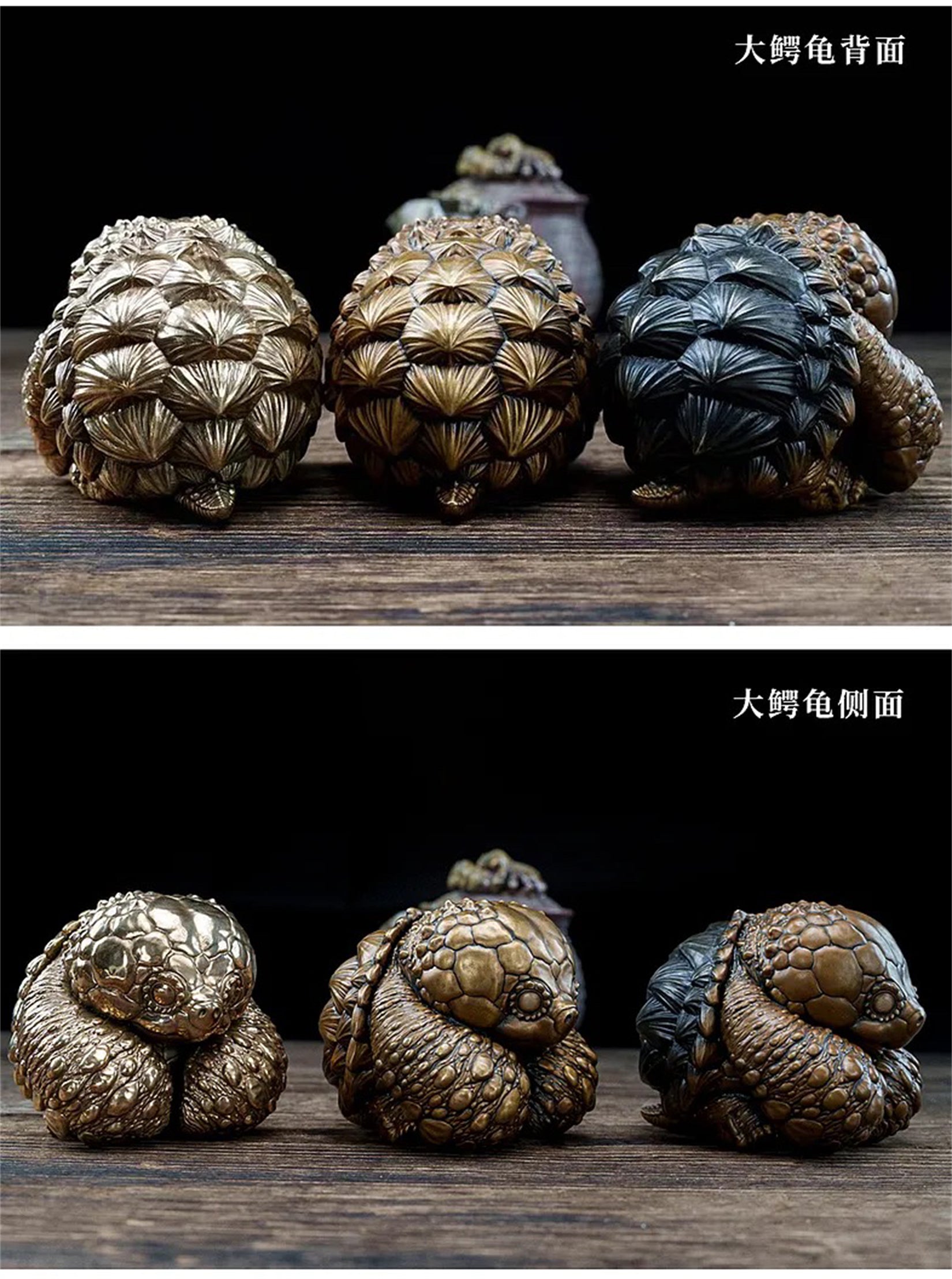 BOWUZHI Studio Bronze Turtle Model