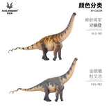 HAOLONGGOOD 1:35 Scale Brontosaurus Model