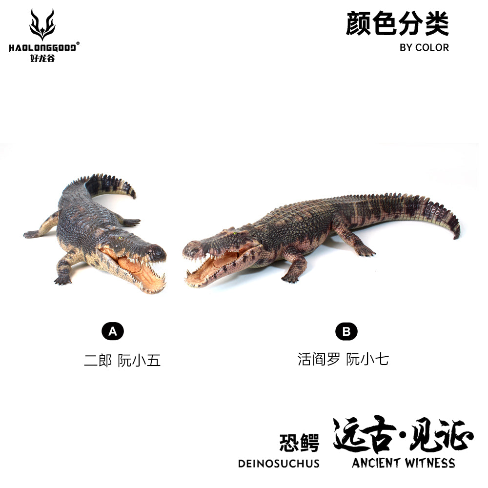 Modèle réduit de Giganotosaurus HAOLONGGOOD à l'échelle 1:35