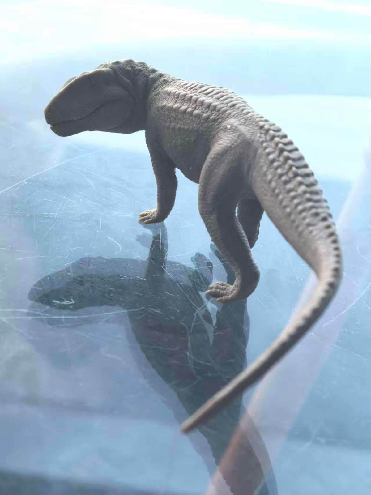 MK Studio 1:20 Scale Austroraptor Model