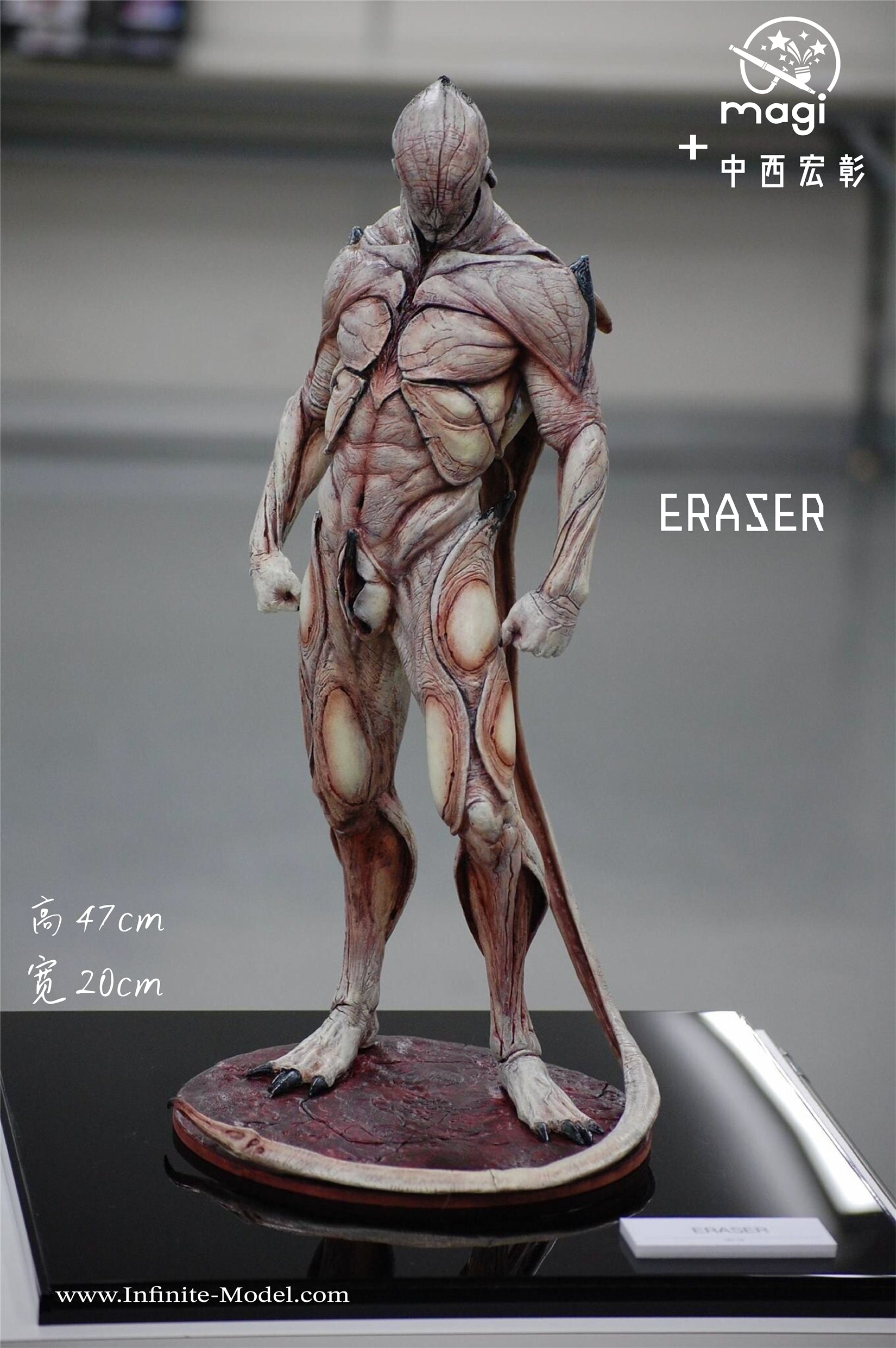 Infinite Model Eraser Figure