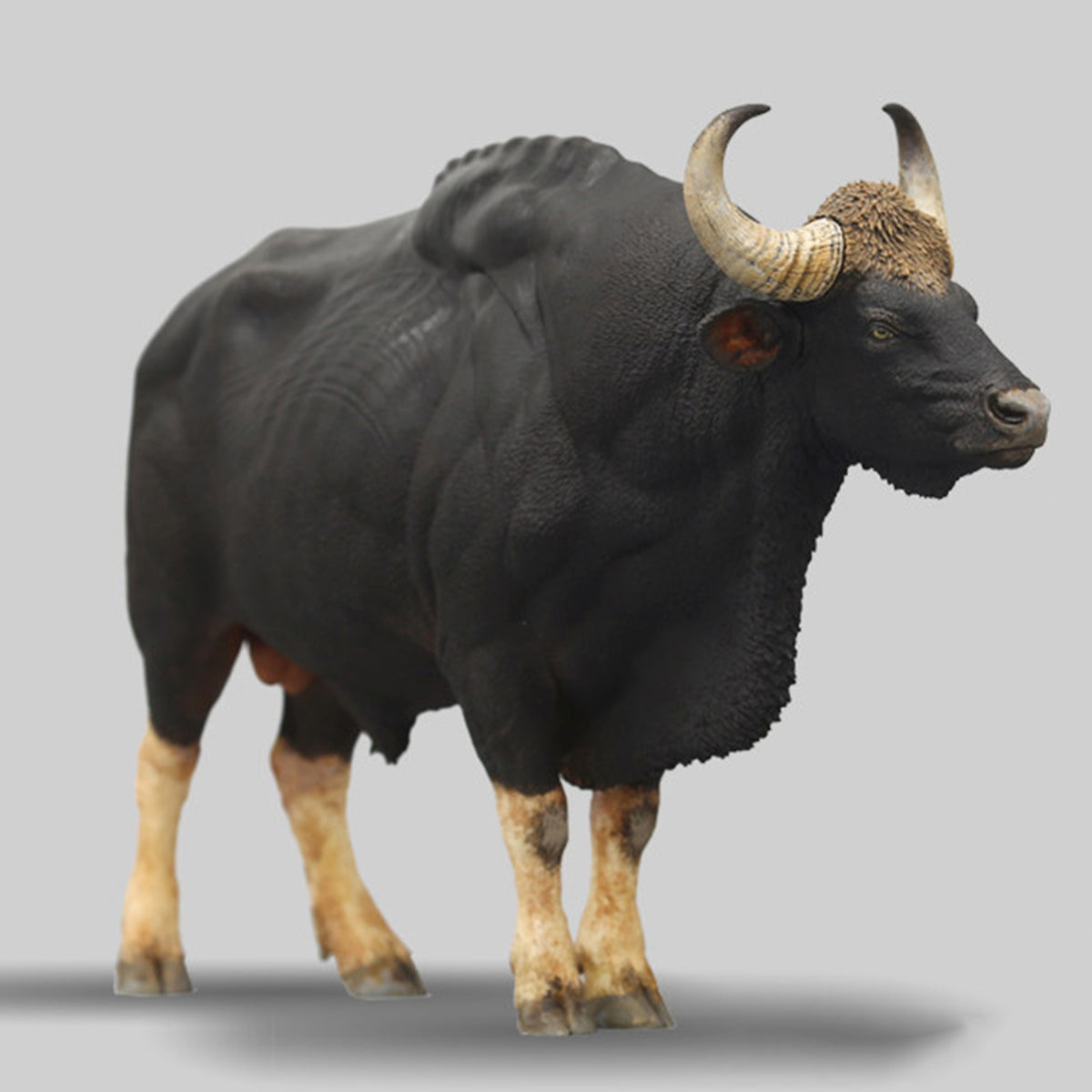 DAFEI Hippopotamus amphibius Modell 