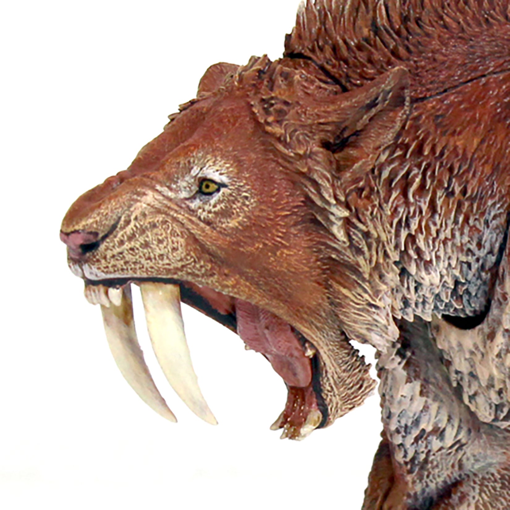 Beasts of the Mesozoic Smilodon populator- Cyberzoic 1/12th scale action figure