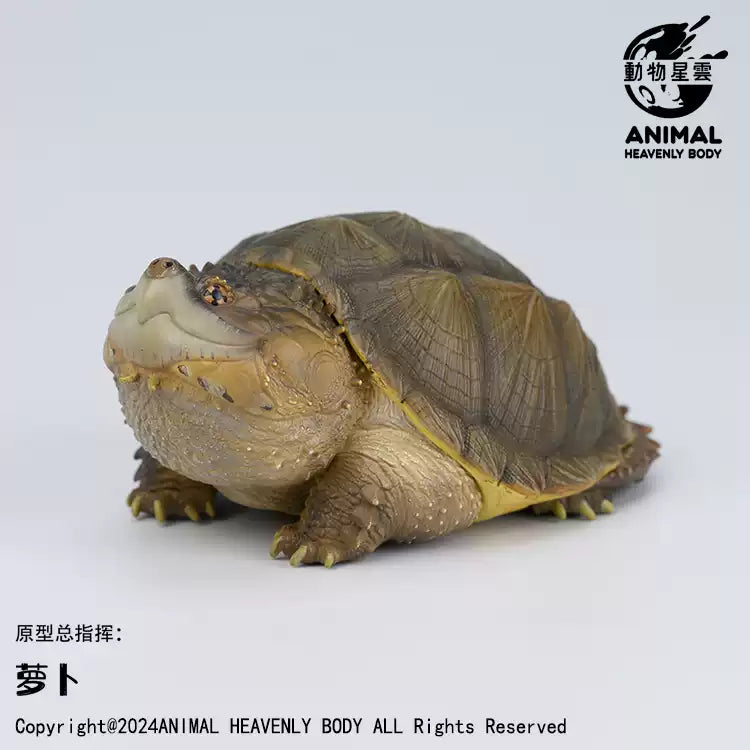 Animal Heavenly Body 22 Turtle Blind Box Model