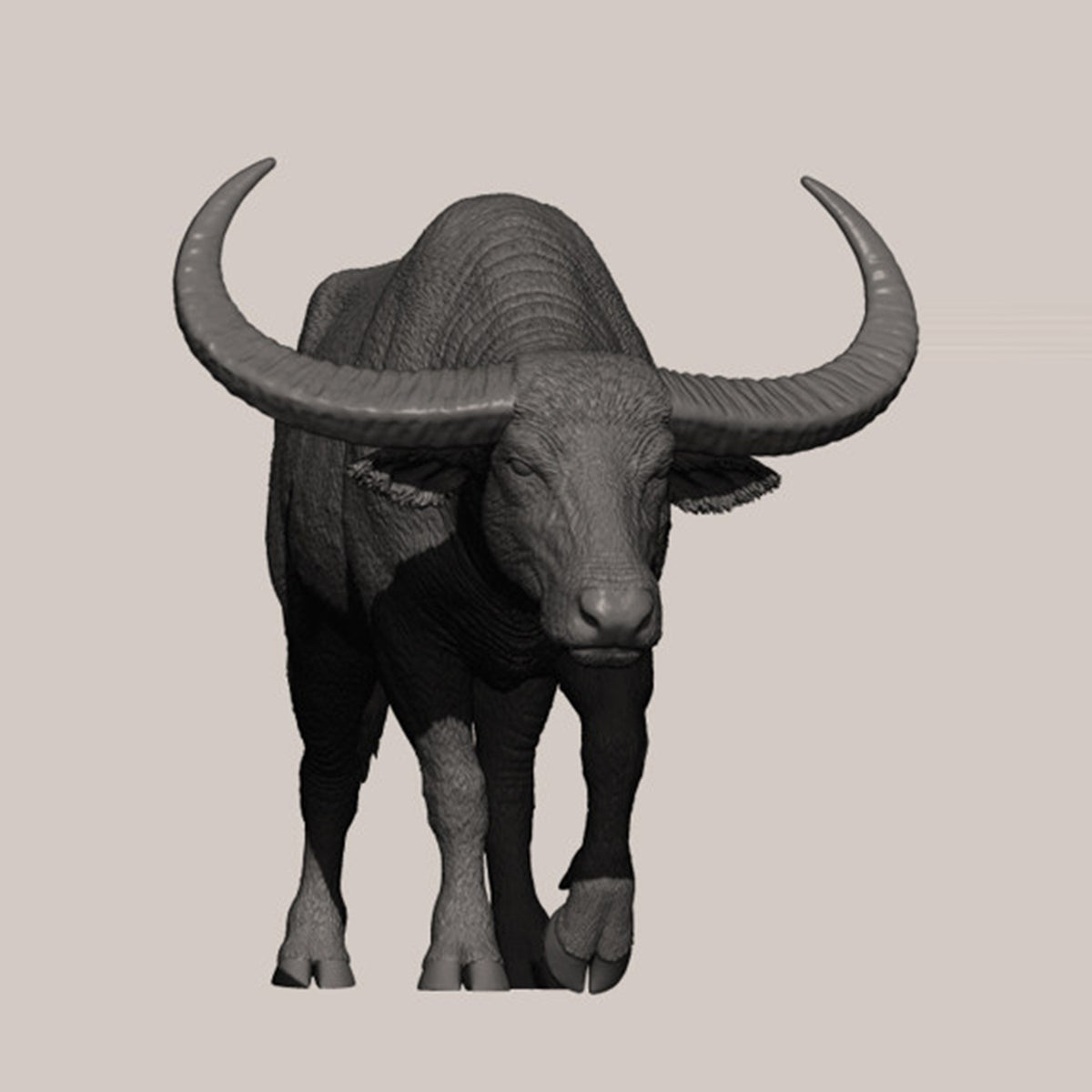 DAFEI Hippopotamus amphibius Modell 