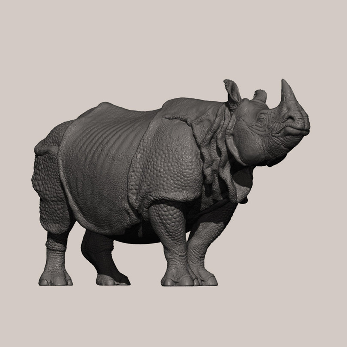 DAFEI Hippopotamus amphibius Modell 