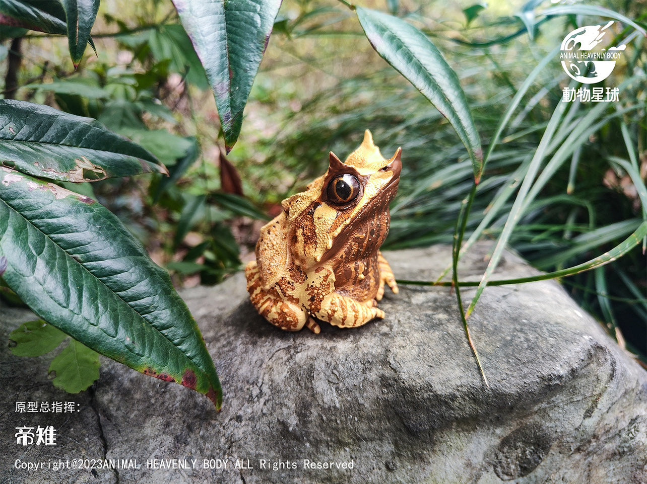 Animal Heavenly Body 20 Frog Blind Box Model