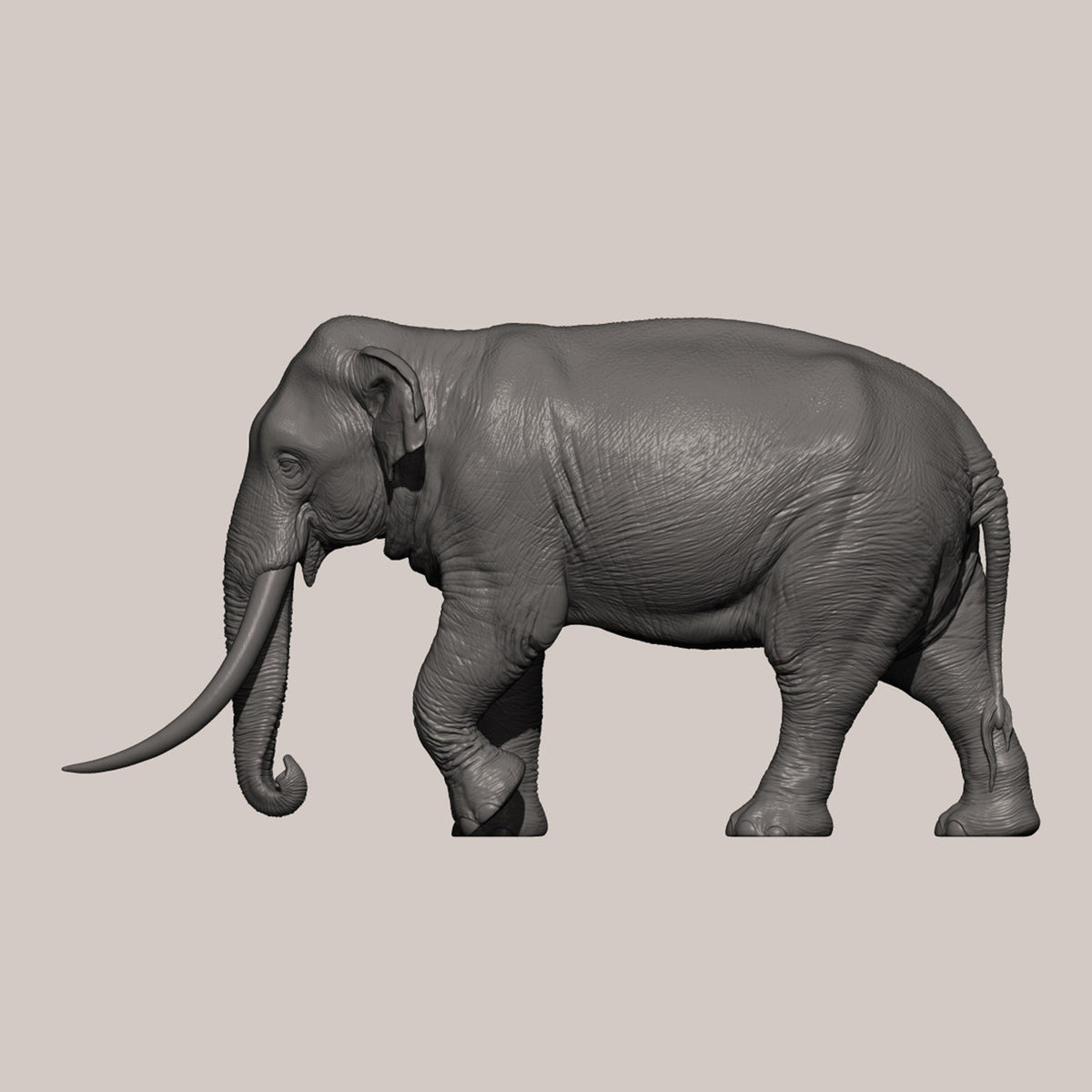 DAFEI Hippopotamus amphibius Modell 