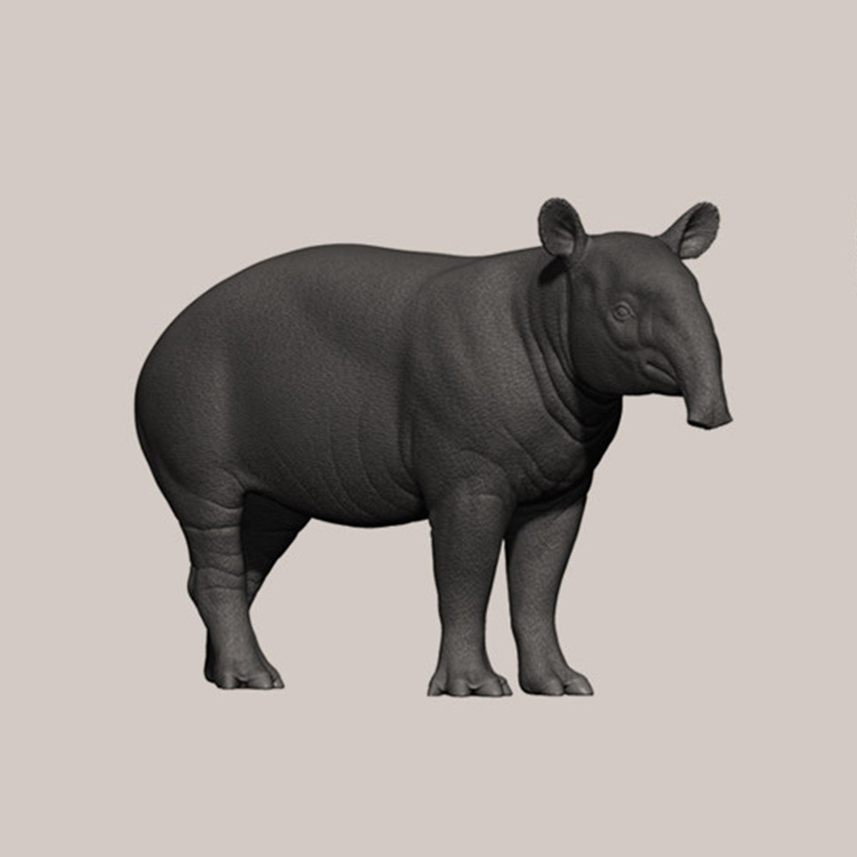 DAFEI Hippopotamus amphibius Modell 