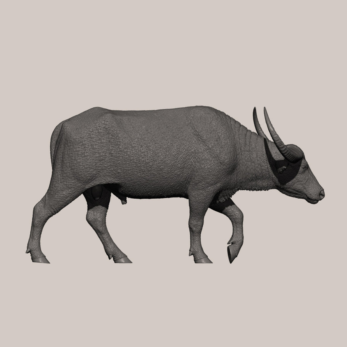 DAFEI Hippopotamus amphibius Modell 