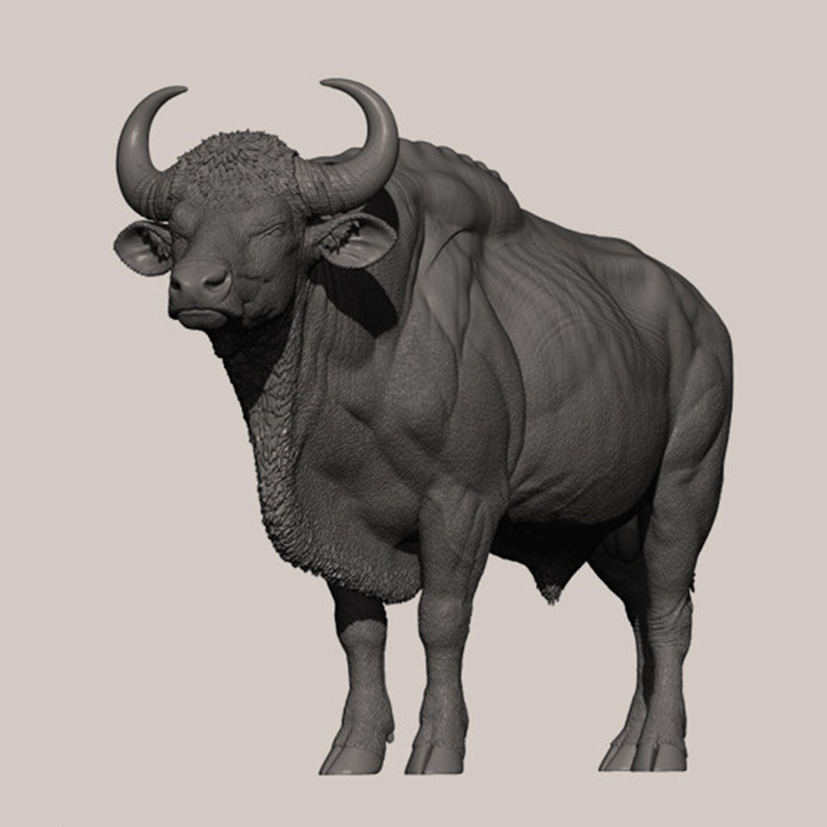 DAFEI Hippopotamus amphibius Modell 