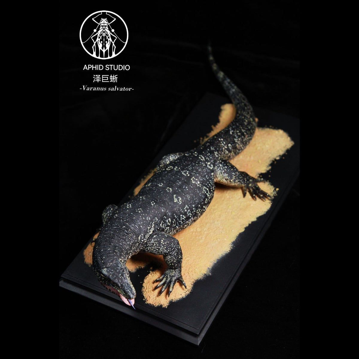 APHID STUDIO Meeresleguan-Modell