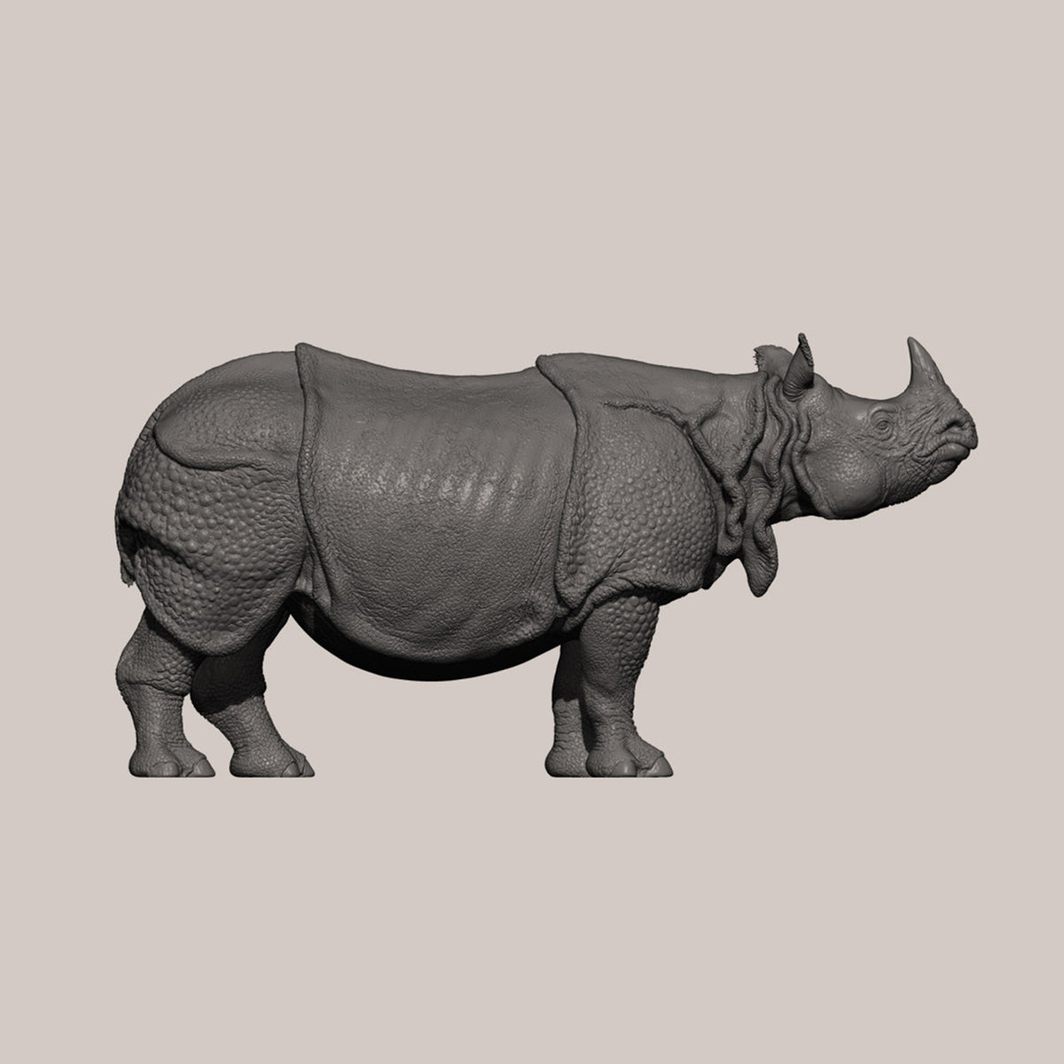 DAFEI Hippopotamus amphibius Modell 
