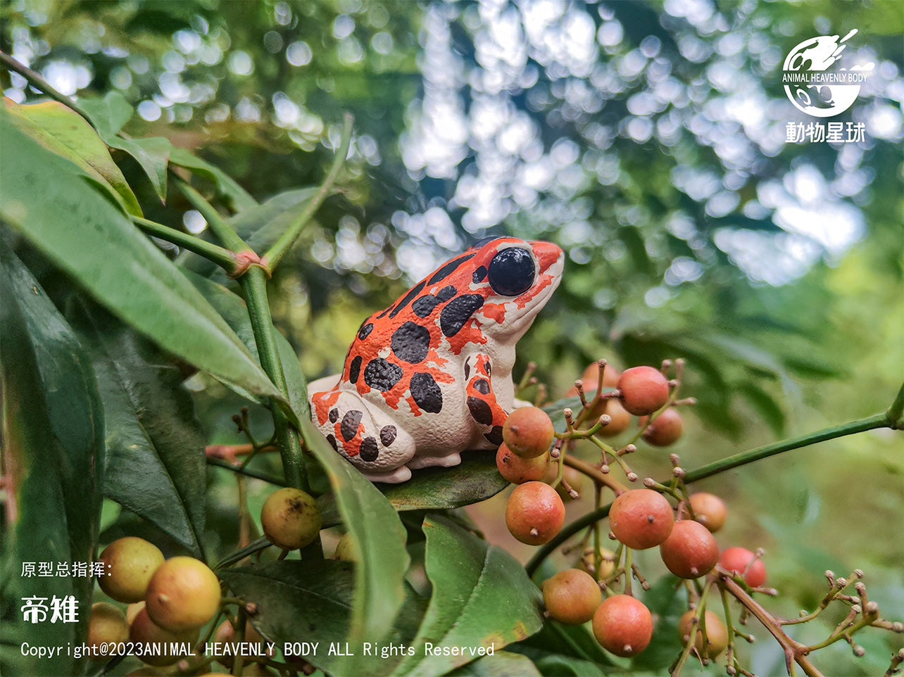Animal Heavenly Body 20 Frog Blind Box Model