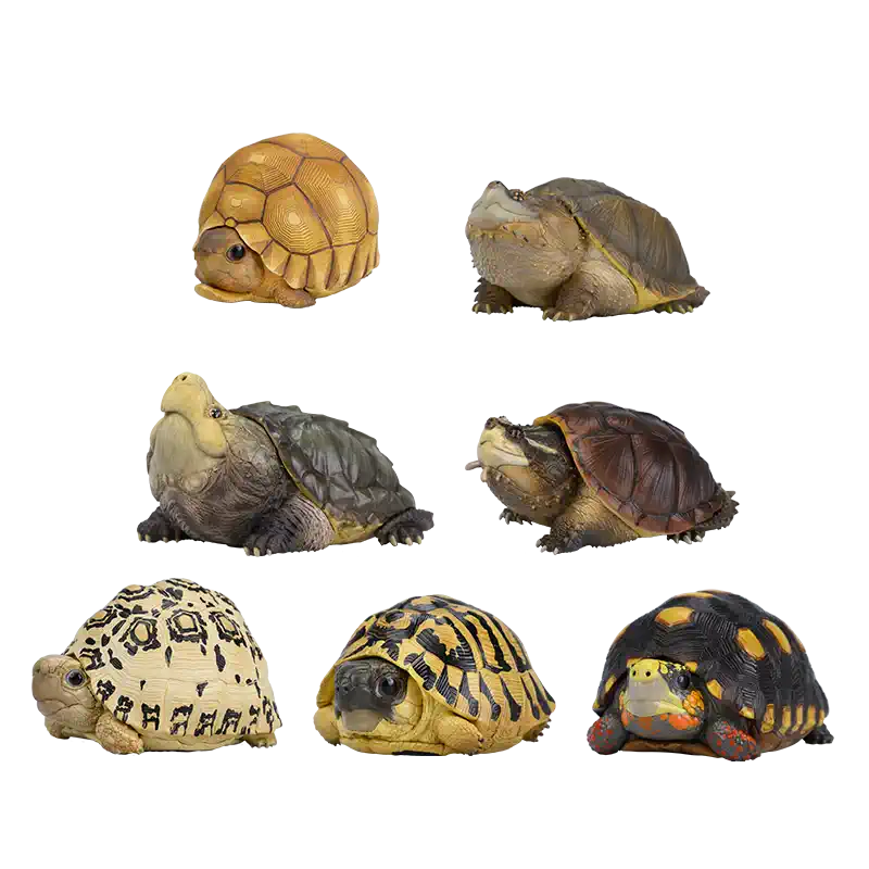 Animal Heavenly Body 22 Turtle Blind Box Model