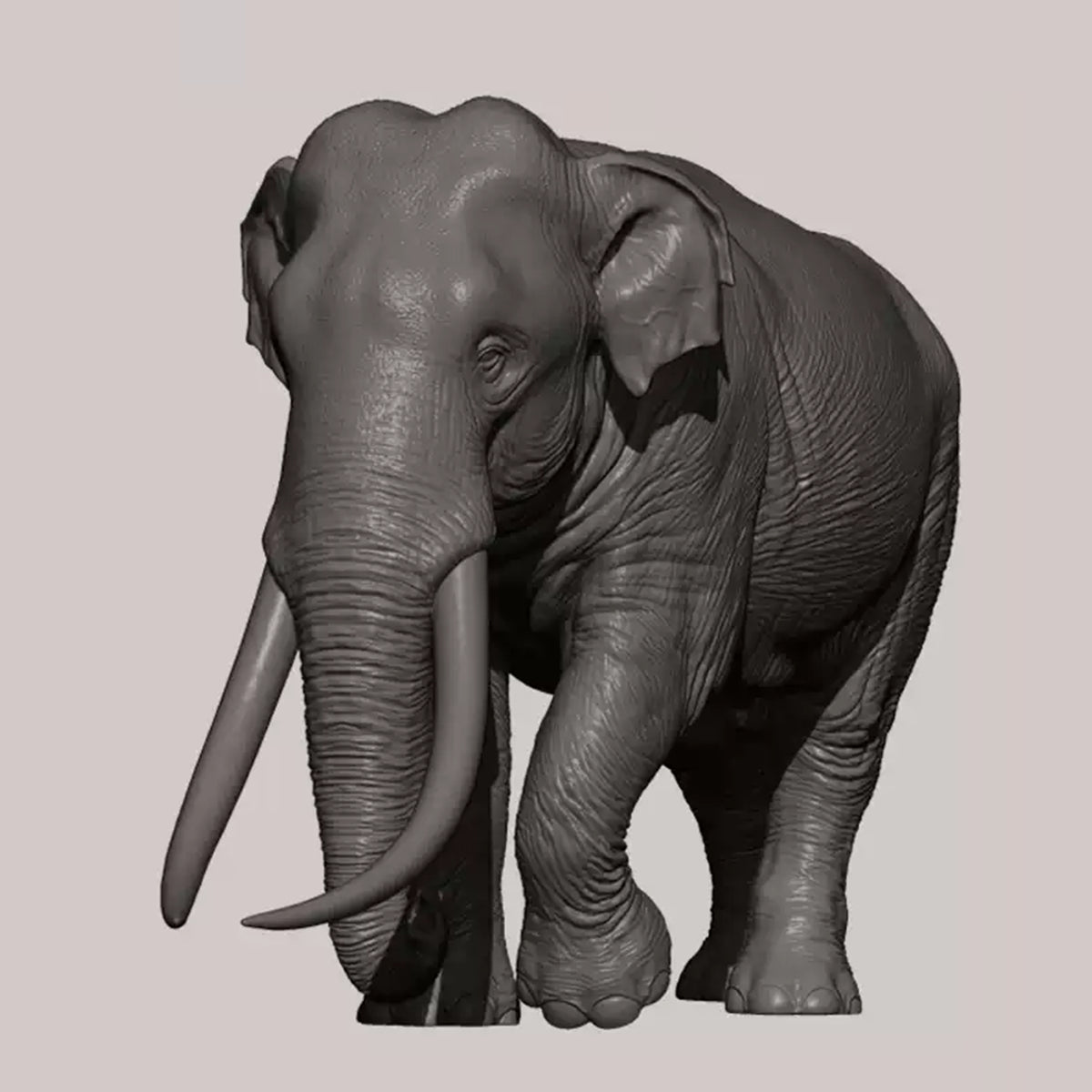 DAFEI Hippopotamus amphibius Modell 