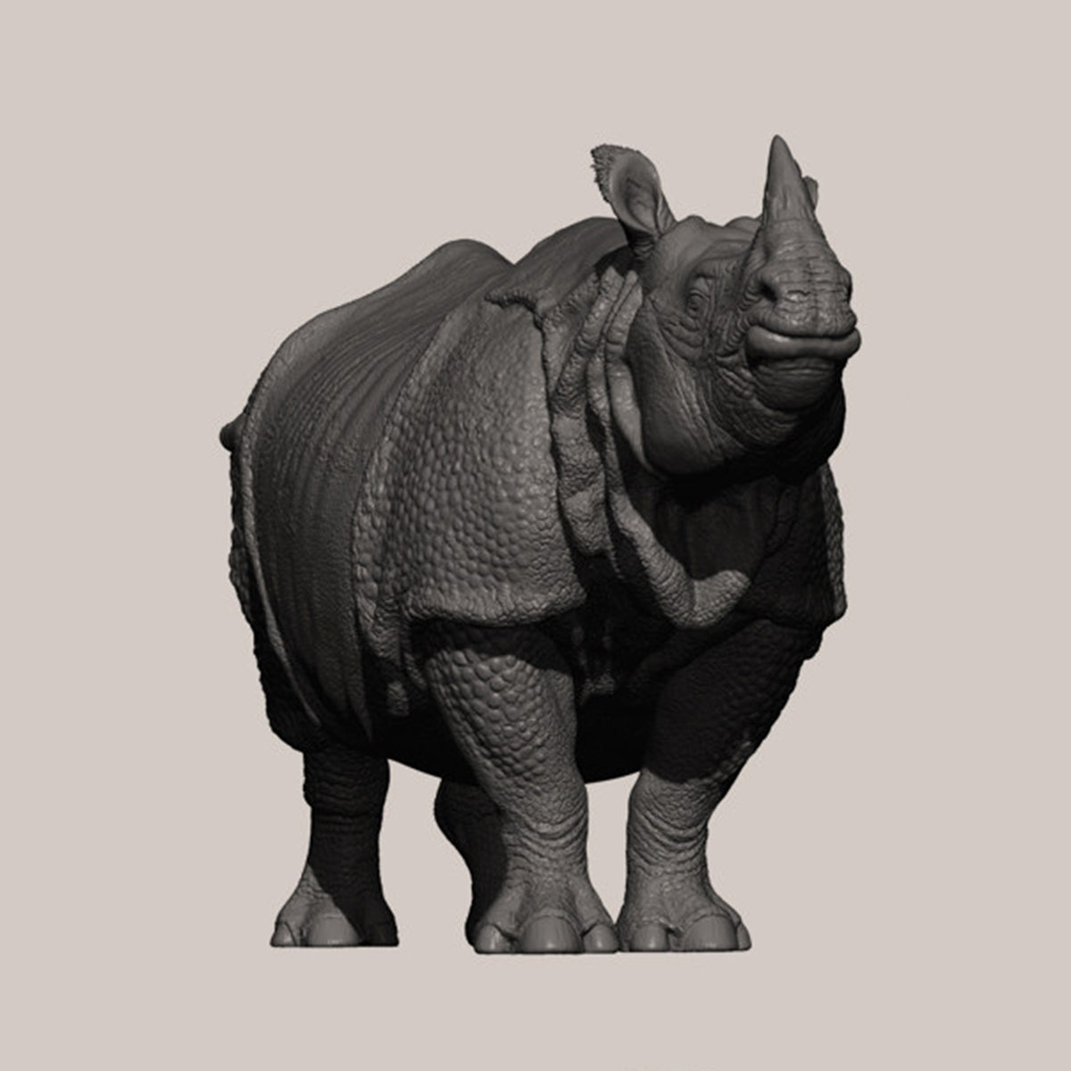 DAFEI Hippopotamus amphibius Modell 