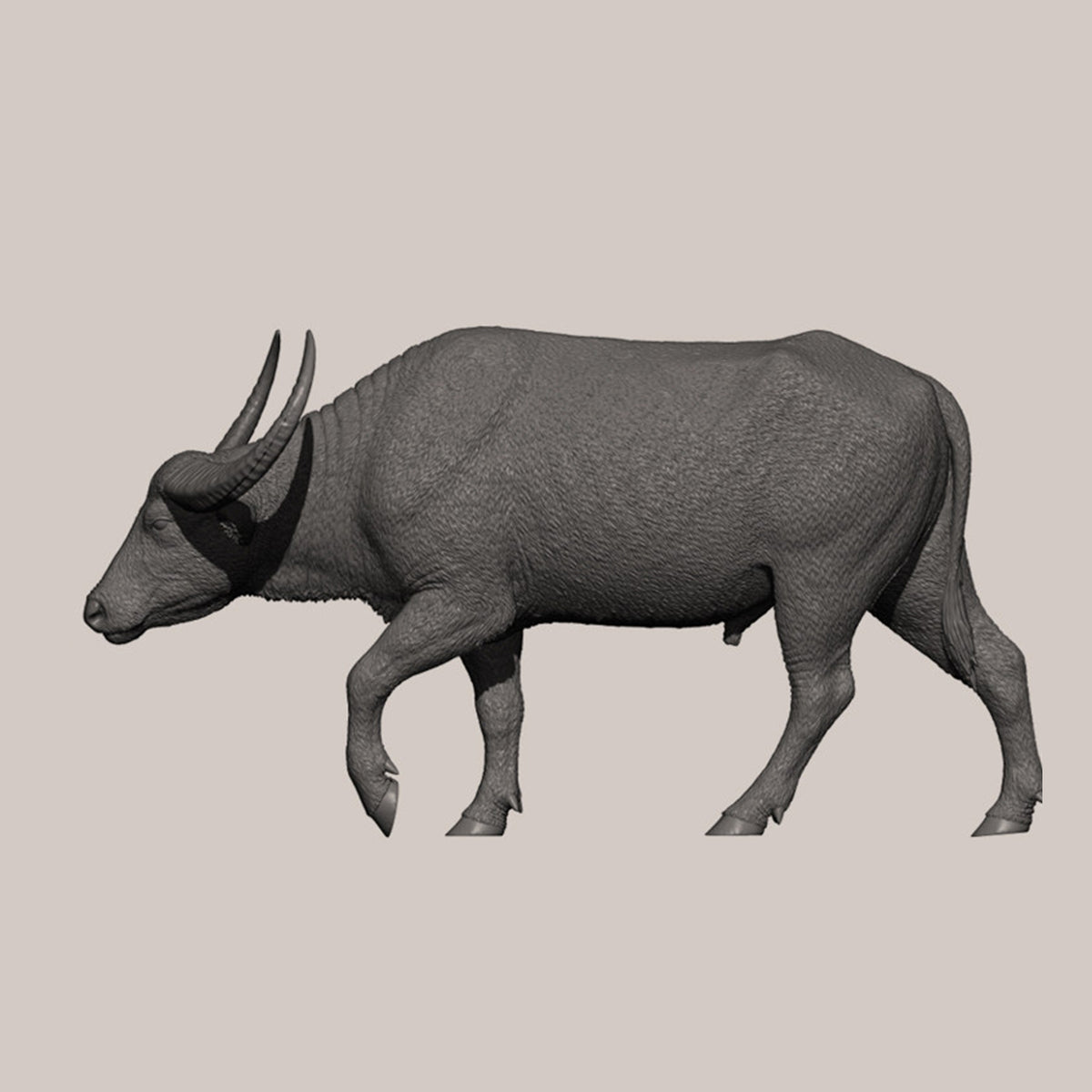 DAFEI Hippopotamus amphibius Modell 