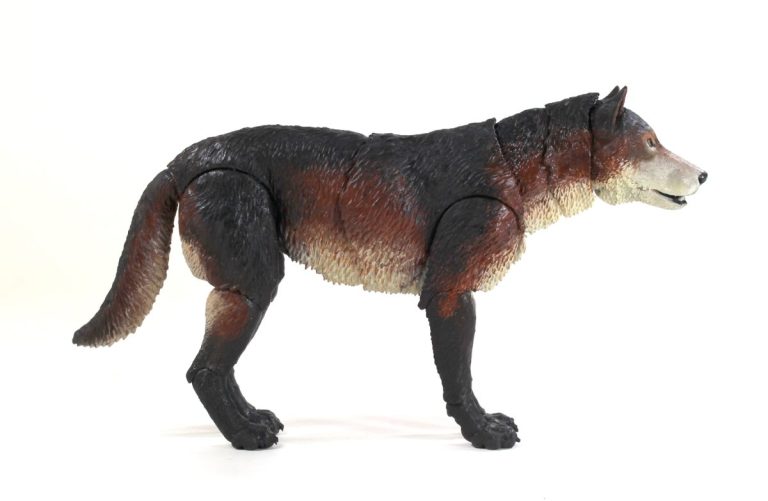 Beasts of the Mesozoic Dire Wolf (Aenocyon dirus) 1/12th scale action figure