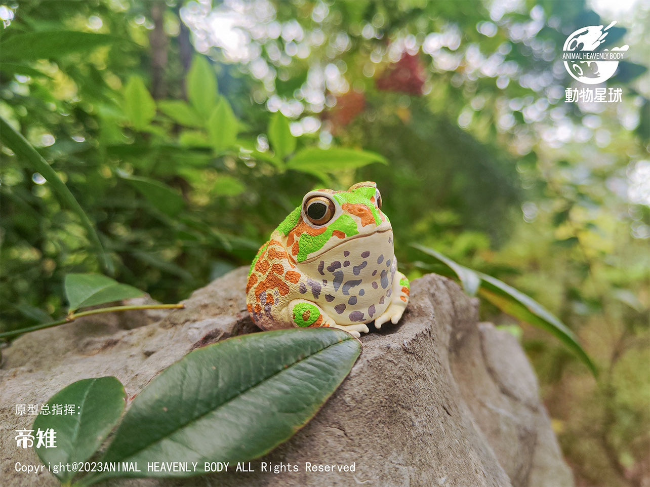 Animal Heavenly Body 20 Frog Blind Box Model