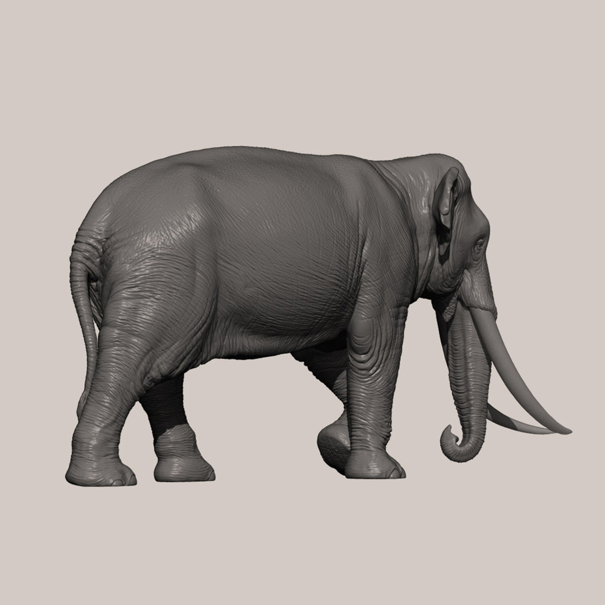 DAFEI Hippopotamus amphibius Modell 