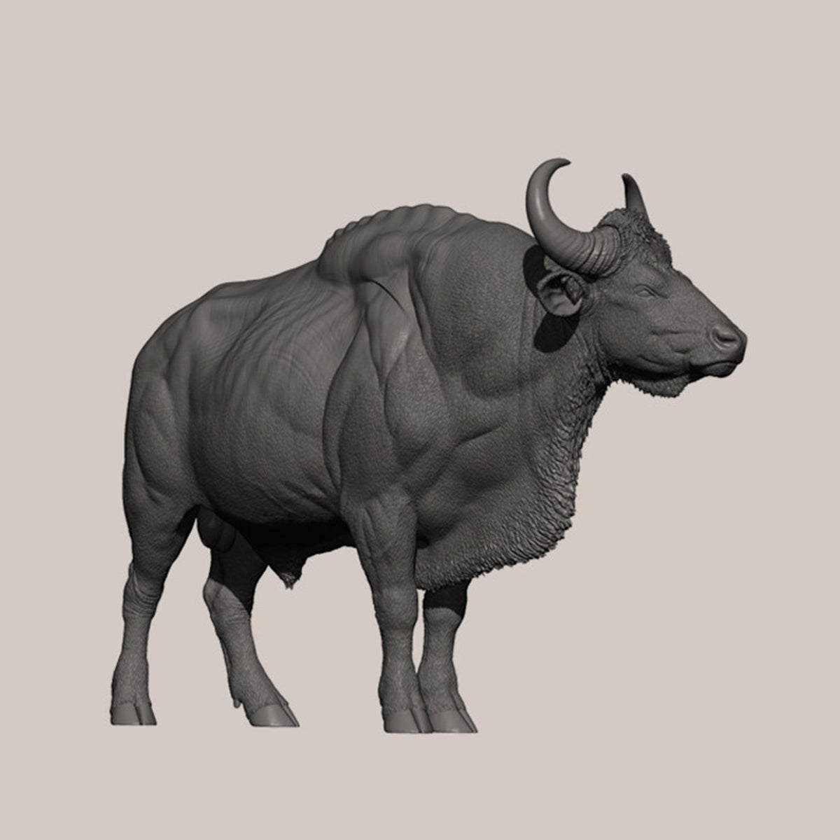 DAFEI Hippopotamus amphibius Modell 