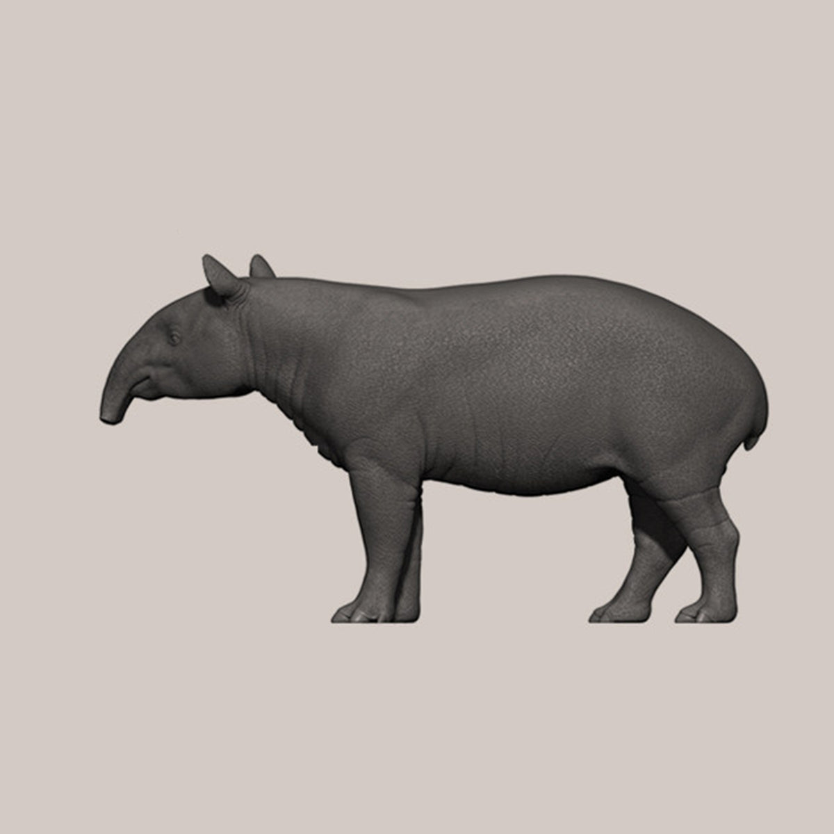 DAFEI Hippopotamus amphibius Modell 